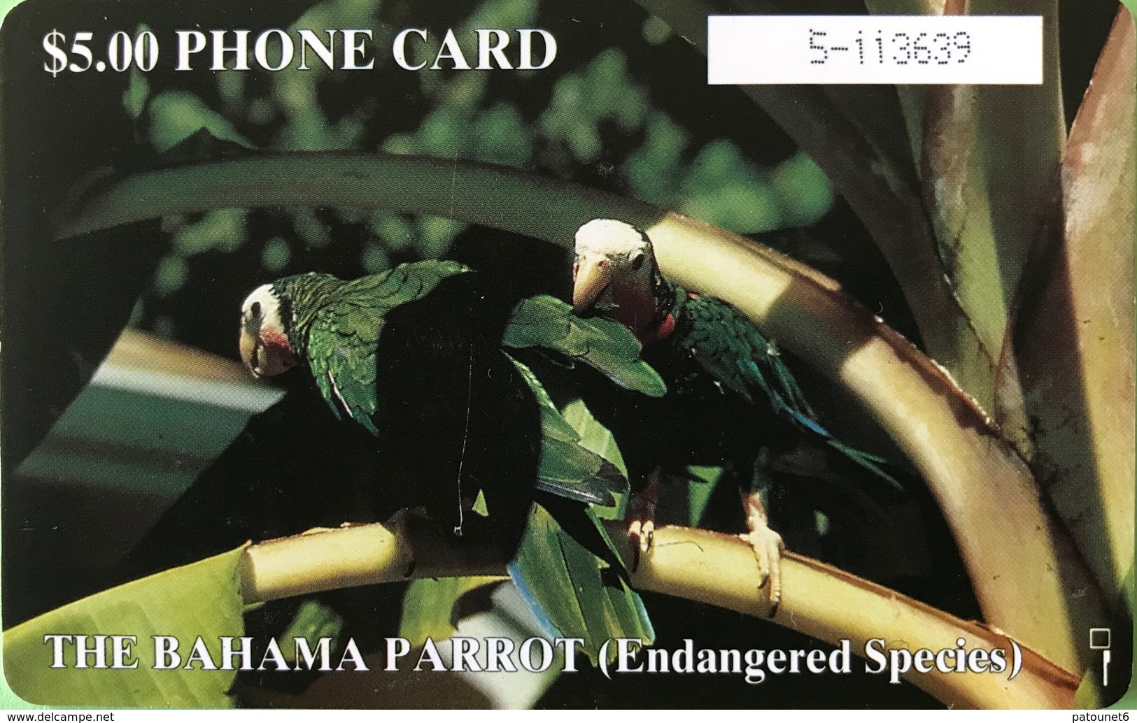 BAHAMAS  -  Phonecard  -  Batelco  - Parrots  -  $ 5 - Bahamas