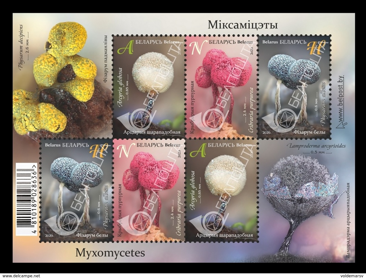 Belarus 2020 Mih. 1335/37 (Bl.185) Flora. Mushrooms. Myxomycetes MNH ** - Belarus