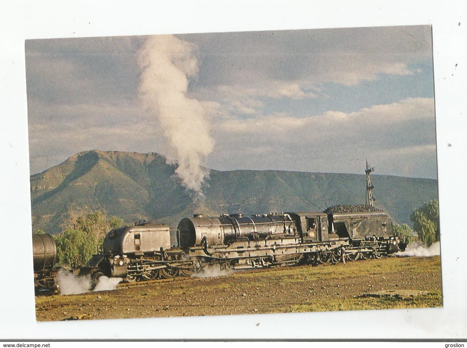 CHEMIN DE FER D'AFRIQUE DU SUD VAPEURS EN SURSIS LA GARRAT 4059 SARL ANTILOPE TRAINS - Afrique Du Sud