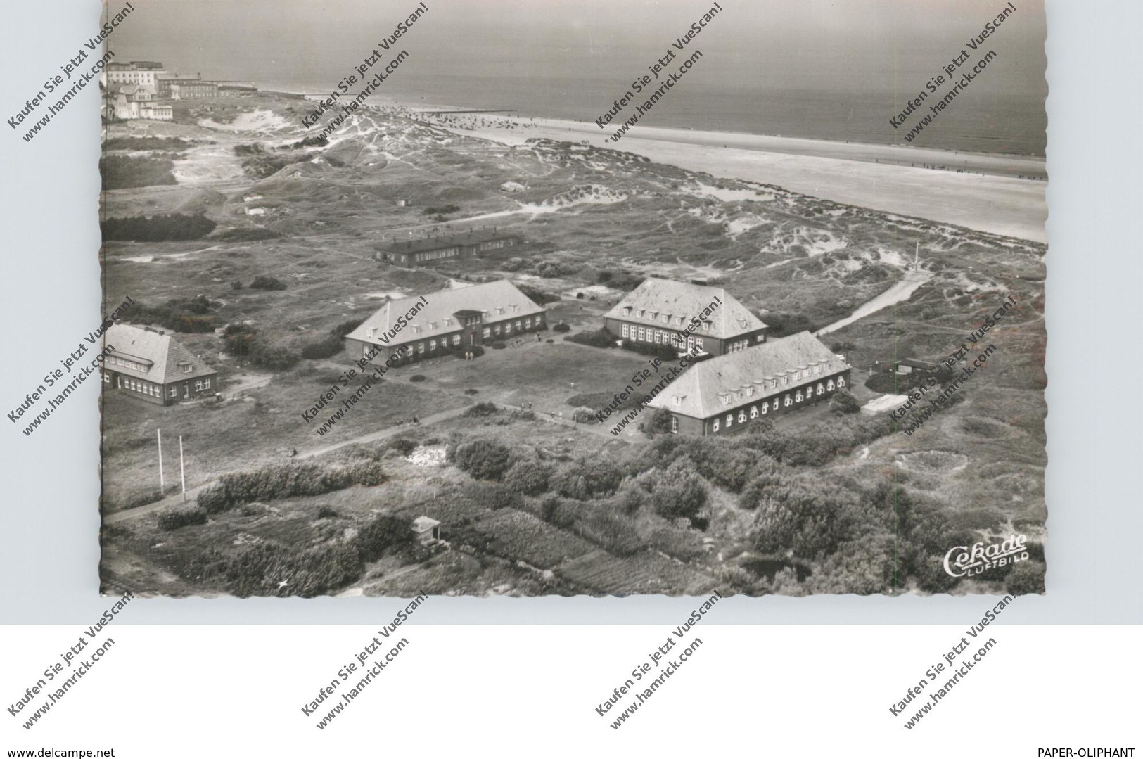 2946 WANGEROOGE, Bremer Kinderheim, Luftaufnahme, 1956 - Wangerooge