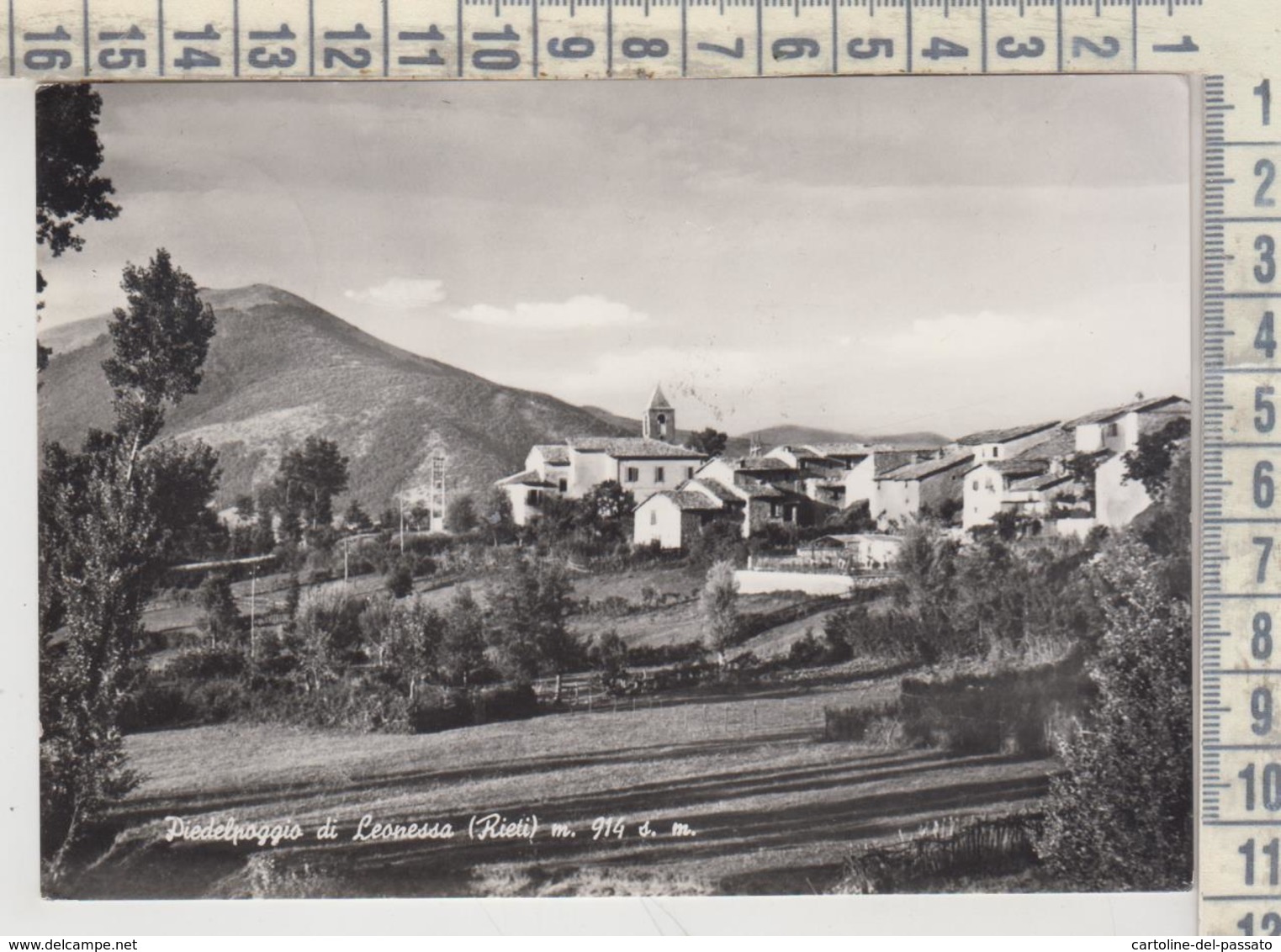 PIEDELPOGGIO DI LEONESSA  RIETI PANORAMA - Rieti