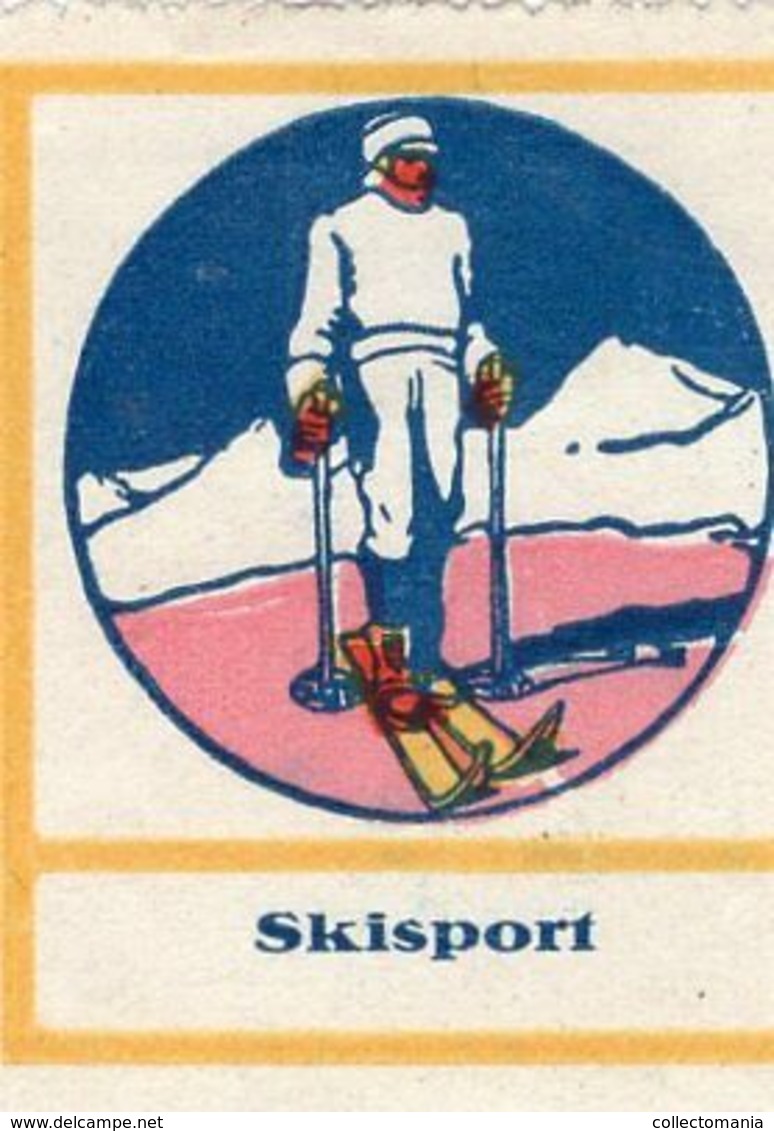 9 Poster Stamps Advertising Cinderellas Sport Ski Skiing Schweiz Wintersport Snow Humor Graubünden Bayer 1914 Innsbruck - Sports D'hiver