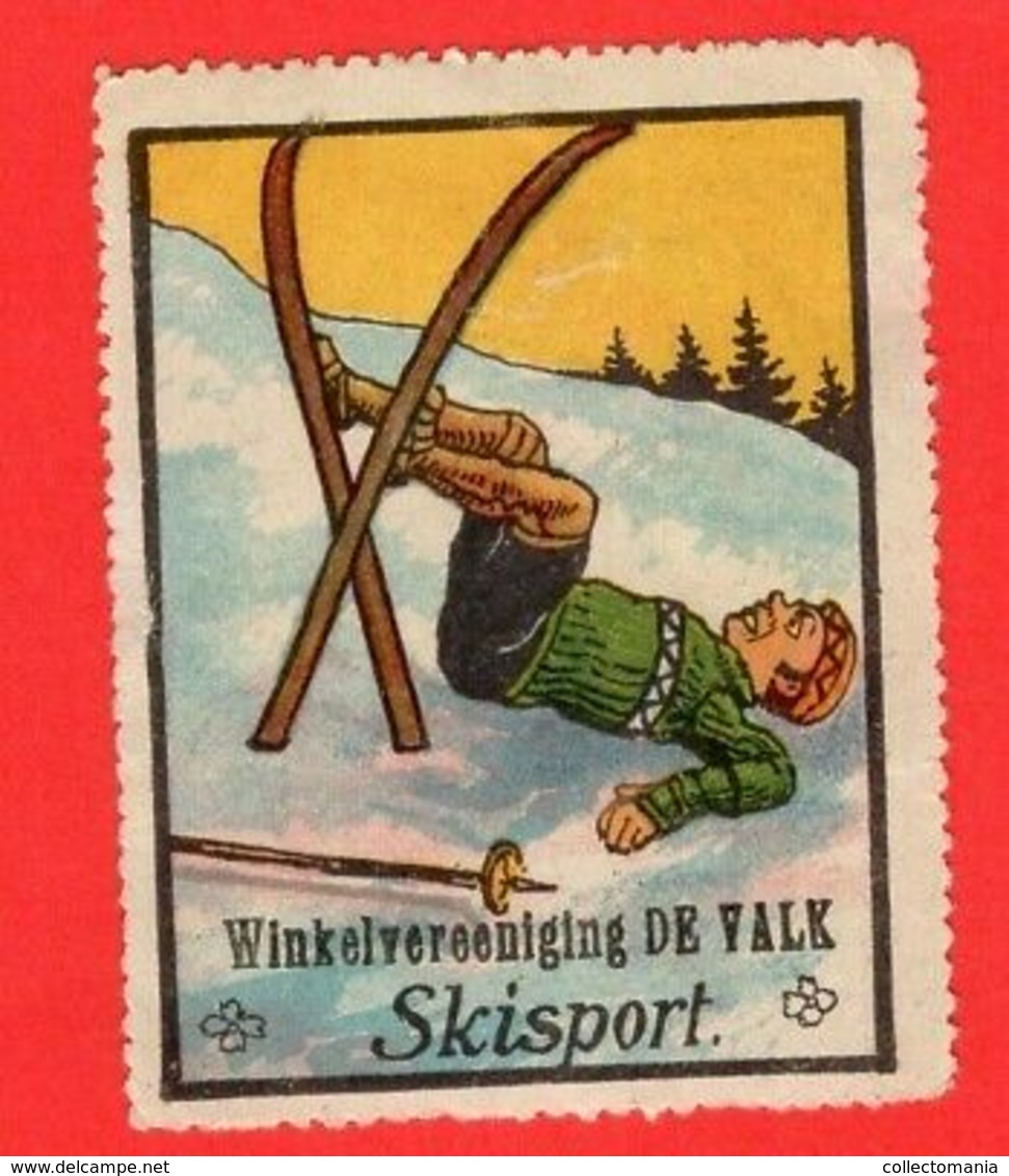 9 Poster Stamps Advertising Cinderellas Sport Ski Skiing Schweiz Wintersport Snow Humor Graubünden Bayer 1914 Innsbruck - Sports D'hiver