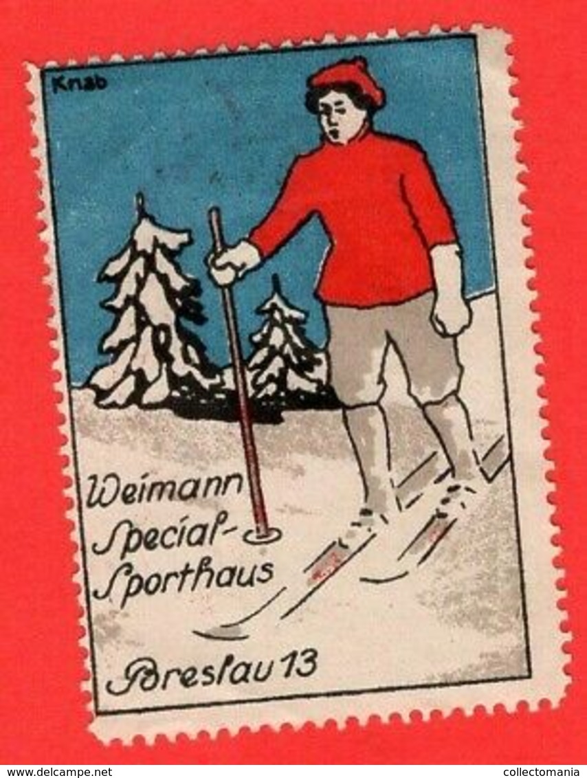 9 Poster Stamps Advertising Cinderellas Sport Ski Skiing Schweiz Wintersport Snow Humor Graubünden Bayer 1914 Innsbruck - Sports D'hiver