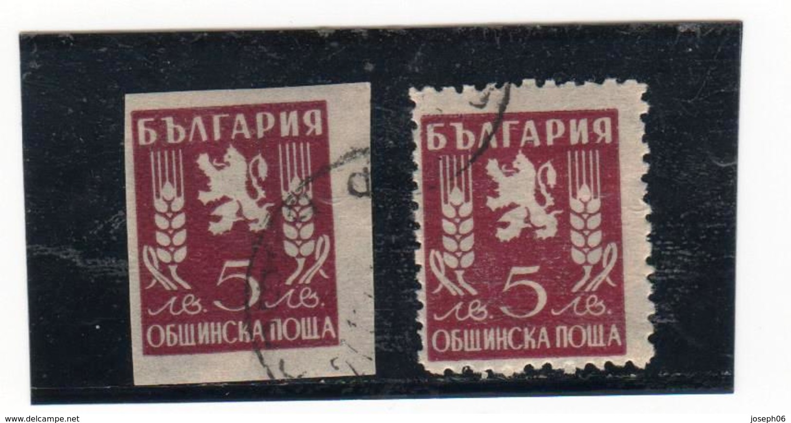 BULGARIE    1946  Express  Y.T. N° 15  Oblitéré - Dienstmarken
