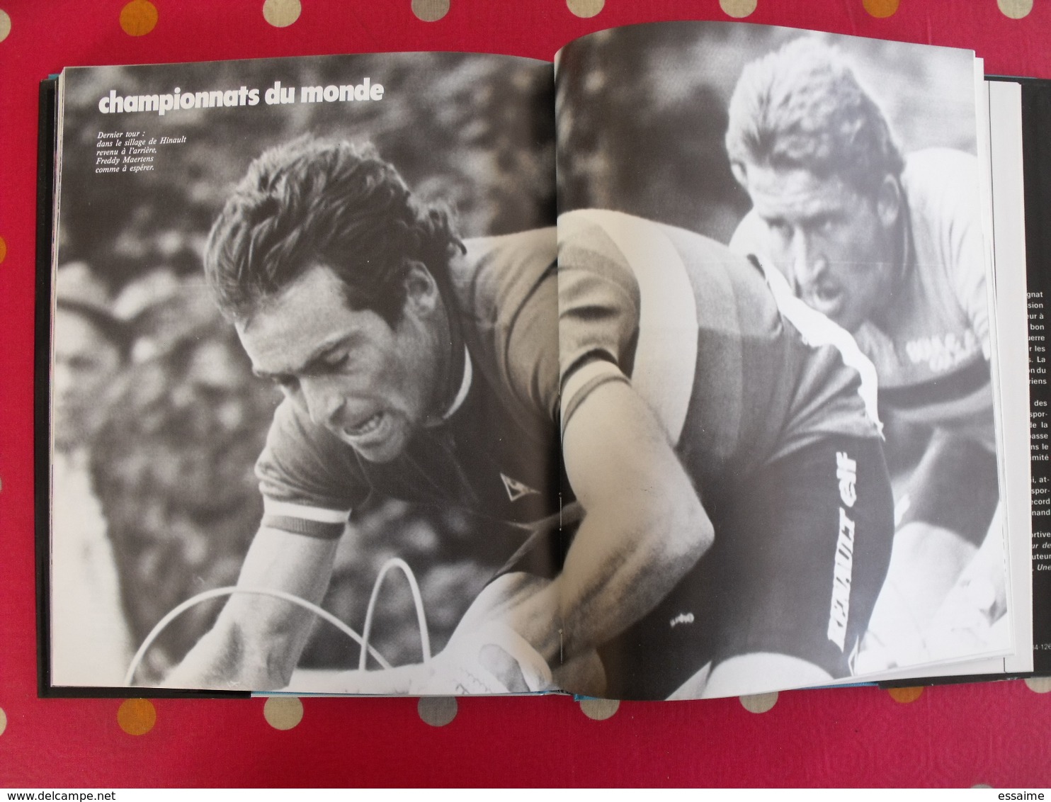 L'année Du Cyclisme 1981. Pierre Chany. Hinault Zoetemelk Thévenet Moser Maertens Moser Raas Saronni Kuiper - Sport