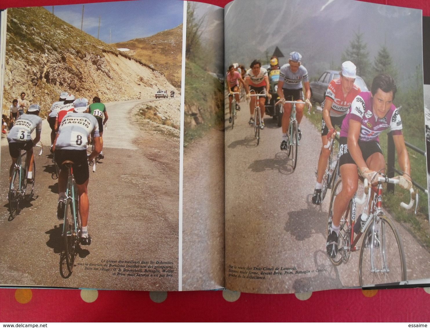 l'année du cyclisme 1981. Pierre Chany. hinault zoetemelk thévenet moser maertens moser raas saronni kuiper