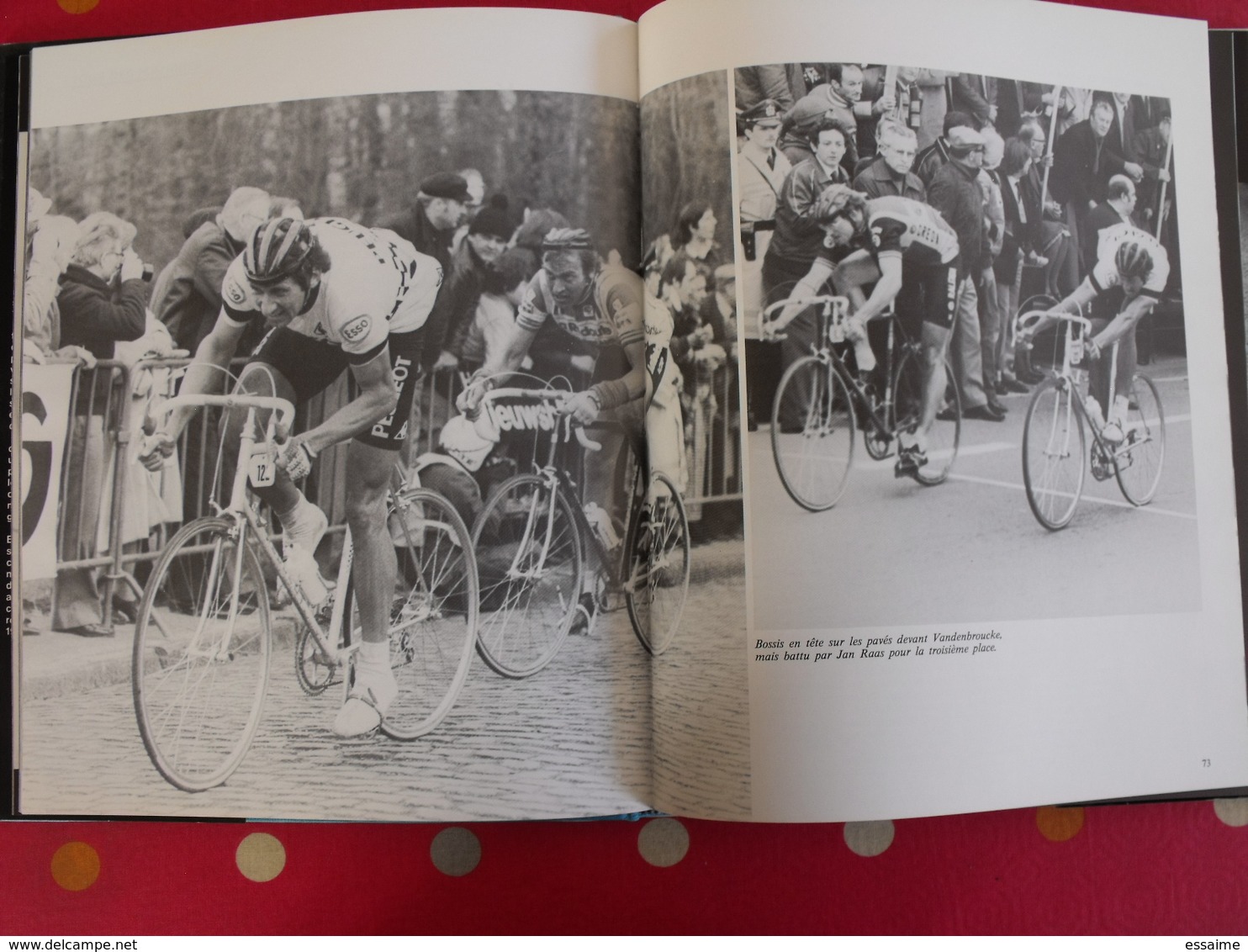 l'année du cyclisme 1981. Pierre Chany. hinault zoetemelk thévenet moser maertens moser raas saronni kuiper