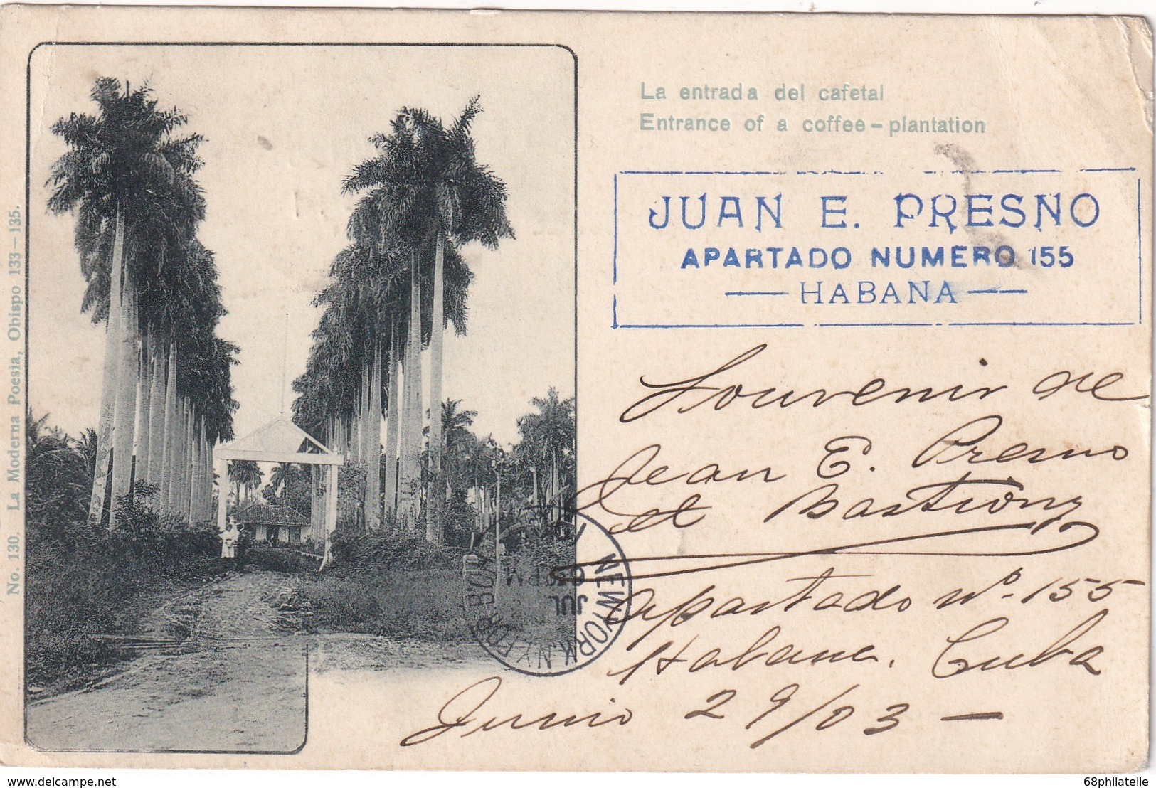 CUBA 1903     CARTE POSTALE DE  LA LA HAVANE  ENTREE DE LA PLANTATION DE CAFE - Autres & Non Classés