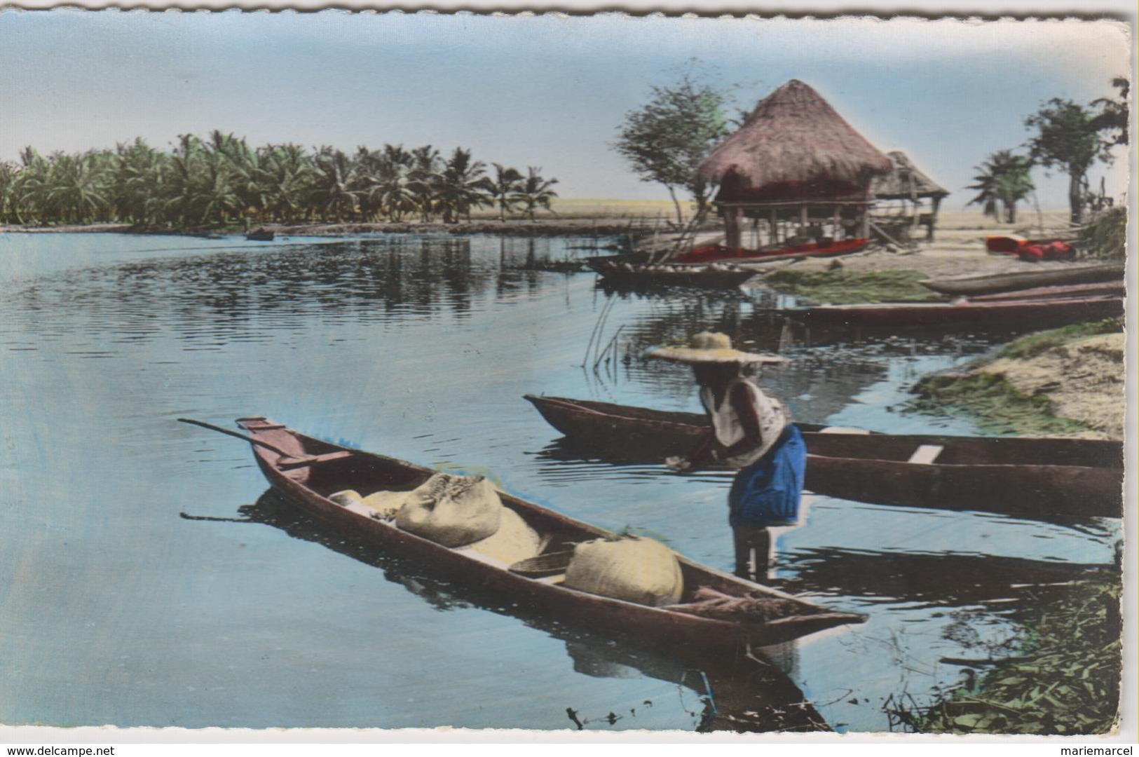 L'AFRIQUE EN COULEURS - SCENE DE VIE RIVERDINE - Femme - Barques - CPSM Dentelée Colorisée Petit Format - Non Classés