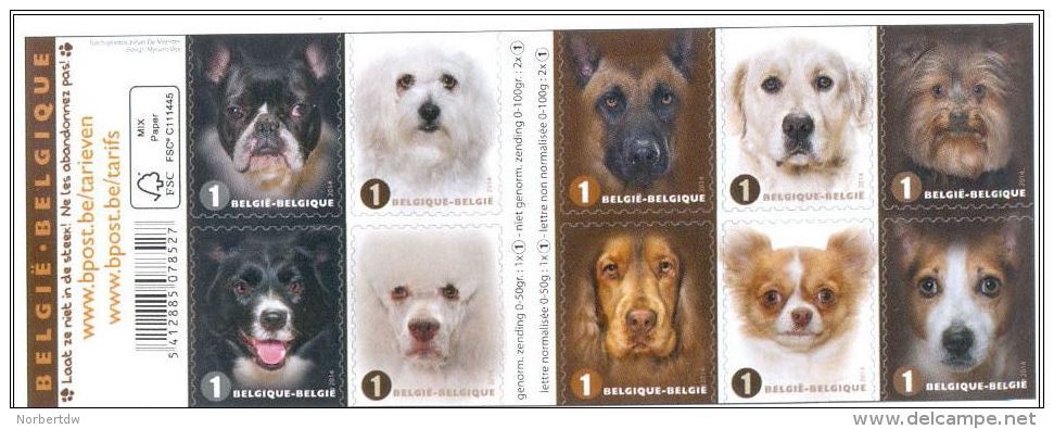Belgium**DOG BREEDS-Chihuahua-Retrieve R-Terrier-Cocker-Collie-B Ooklet 10vals-2014-Bulldog-Malte Se-Malinois-Jack Russe - Dogs