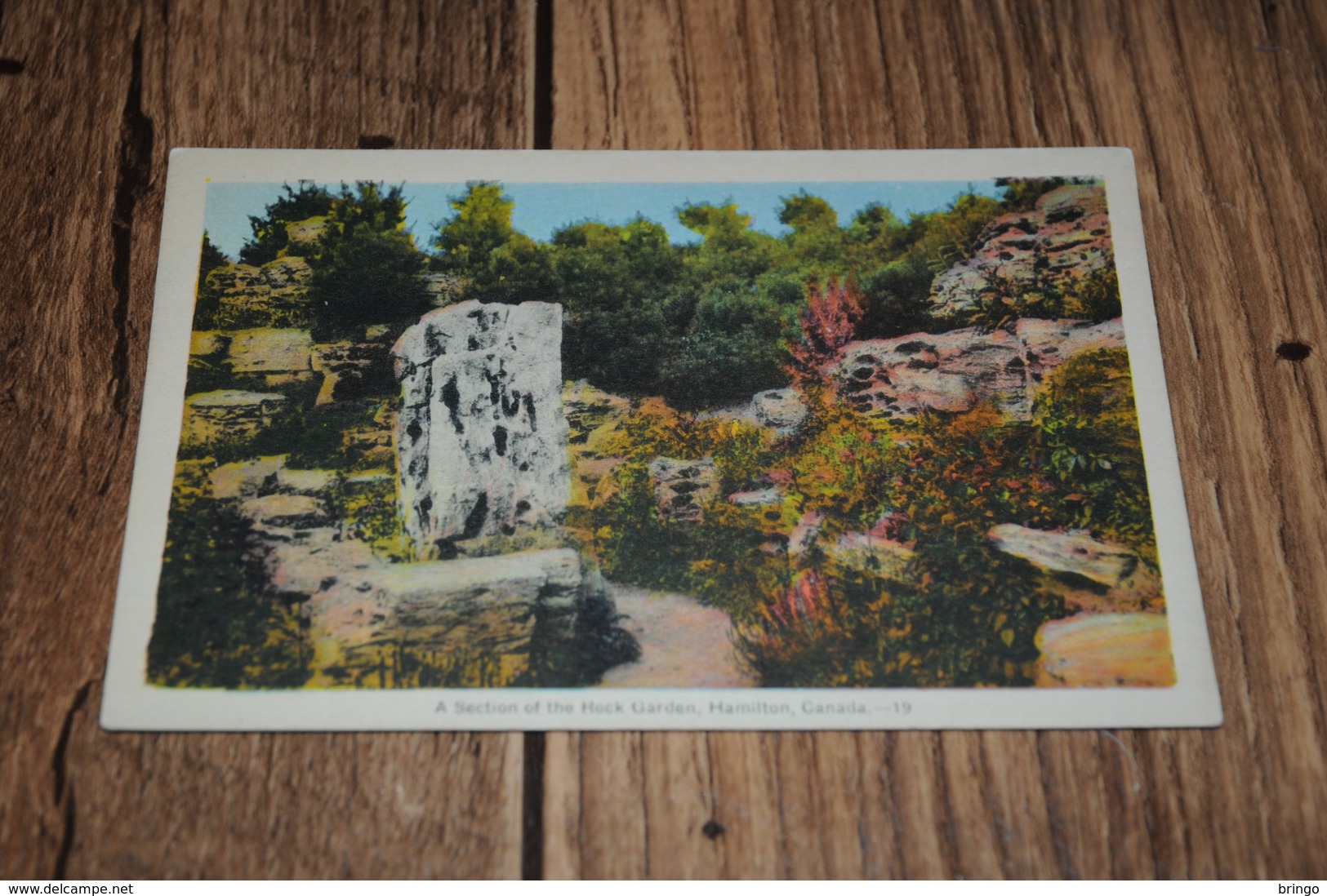 3614-           CANADA, ONTARIO, HAMILTON, ROCK GARDEN - Hamilton