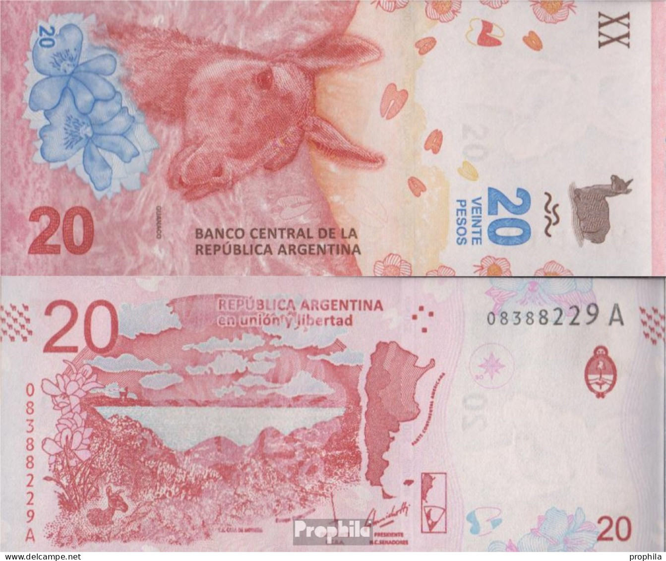 Argentinien Pick-Nr: 361 Bankfrisch 2017 20 Pesos - Argentina