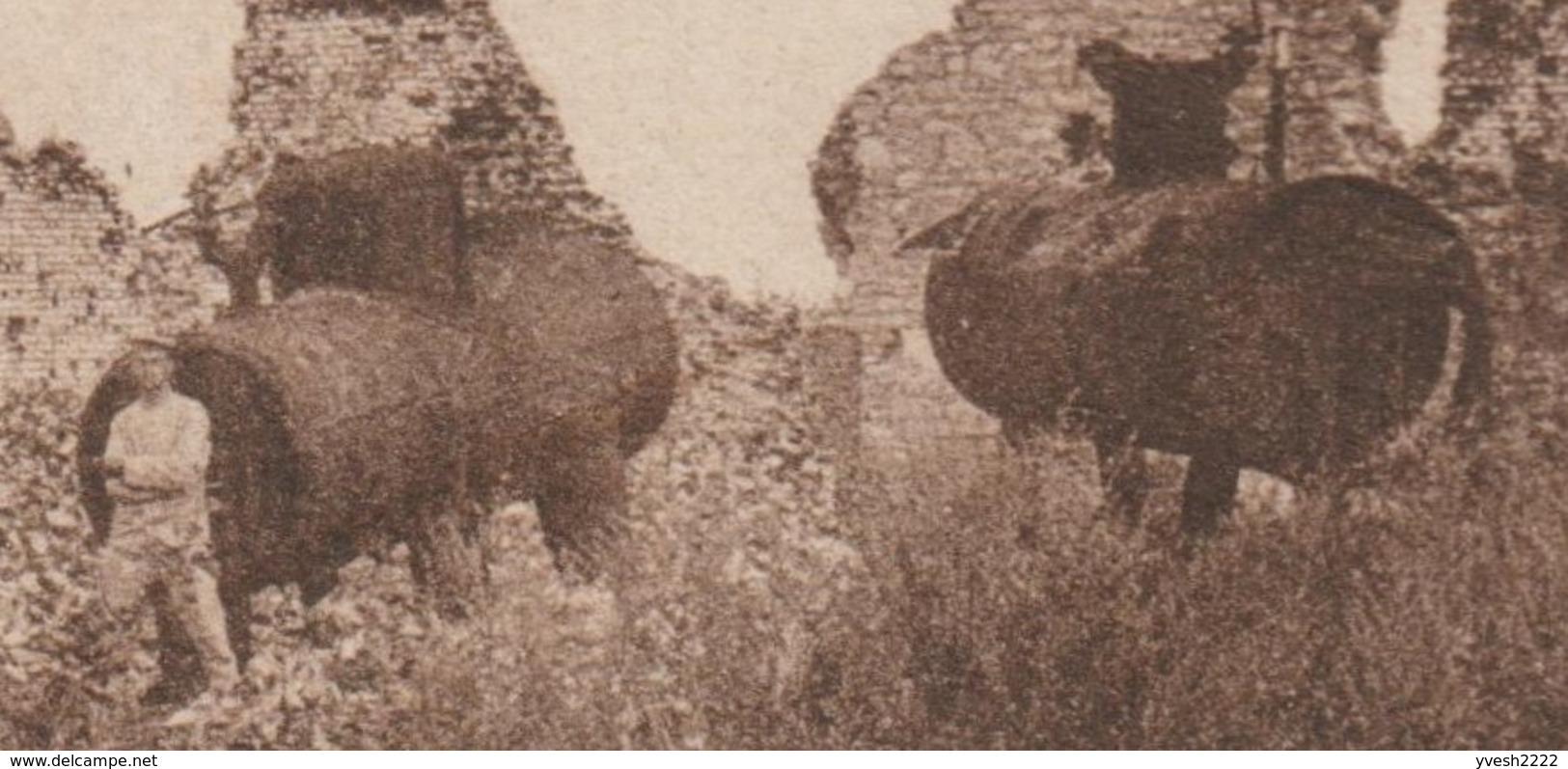 Allemagne / France 1915. Carte Postale De Franchise Militaire. Cerny-en-Laonnois, Aisne. Cuves De Brassage, Brasserie - Bières