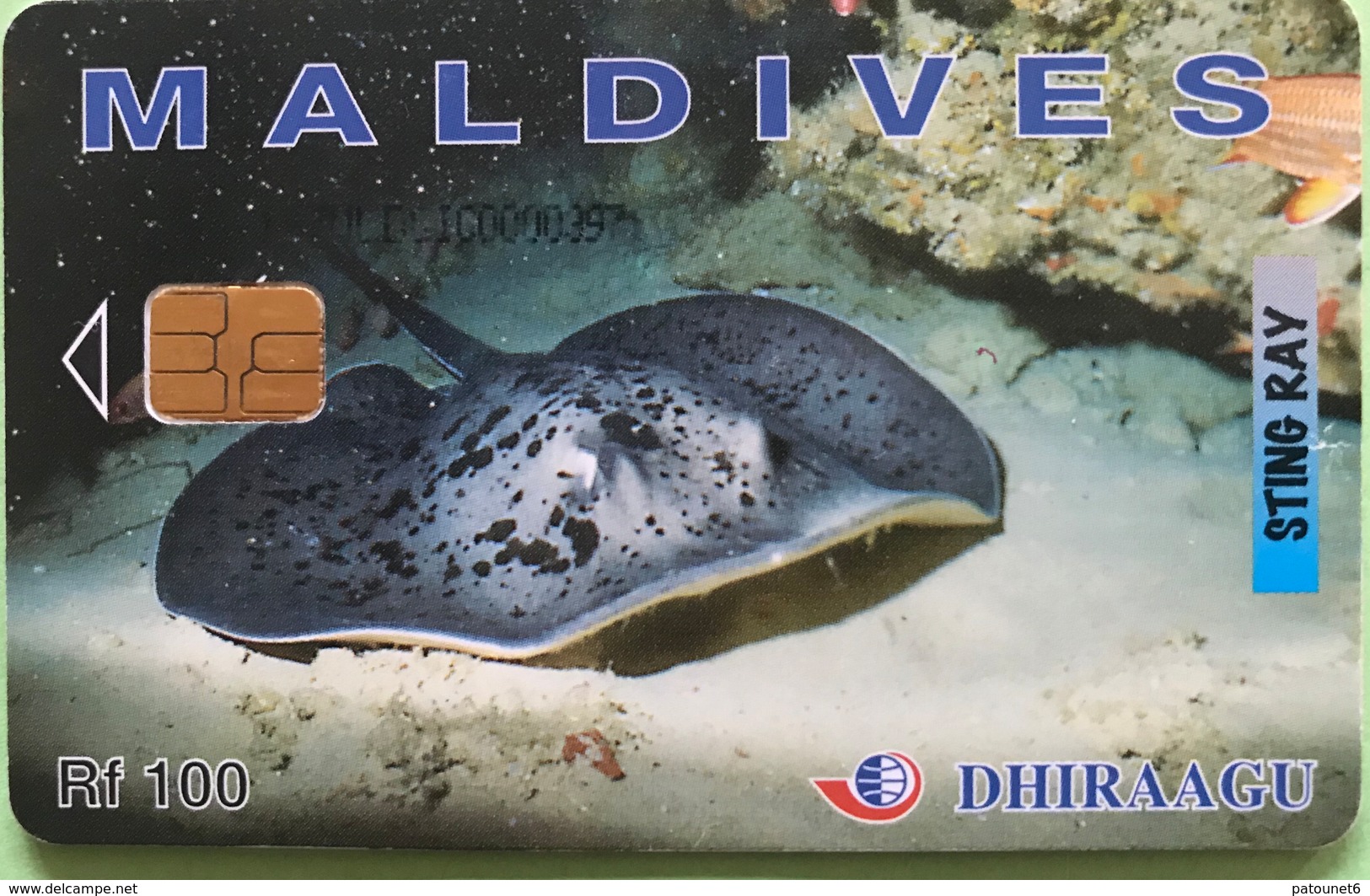 MALDIVES  -  Phonecard  -  DHIRAAGU  -  Ray  -  Rf  100 - Maldives
