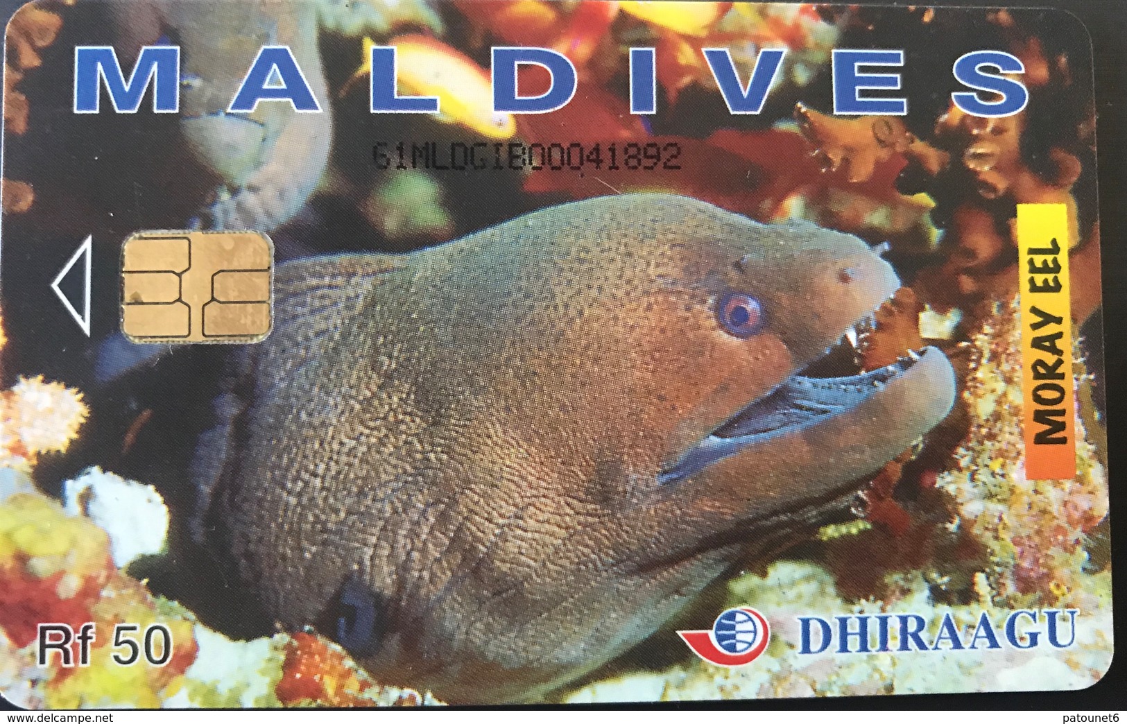 MALDIVES  -  Phonecard  -  DHIRAAGU  -  Murène - Moray  -  Rf 50 - Maldives