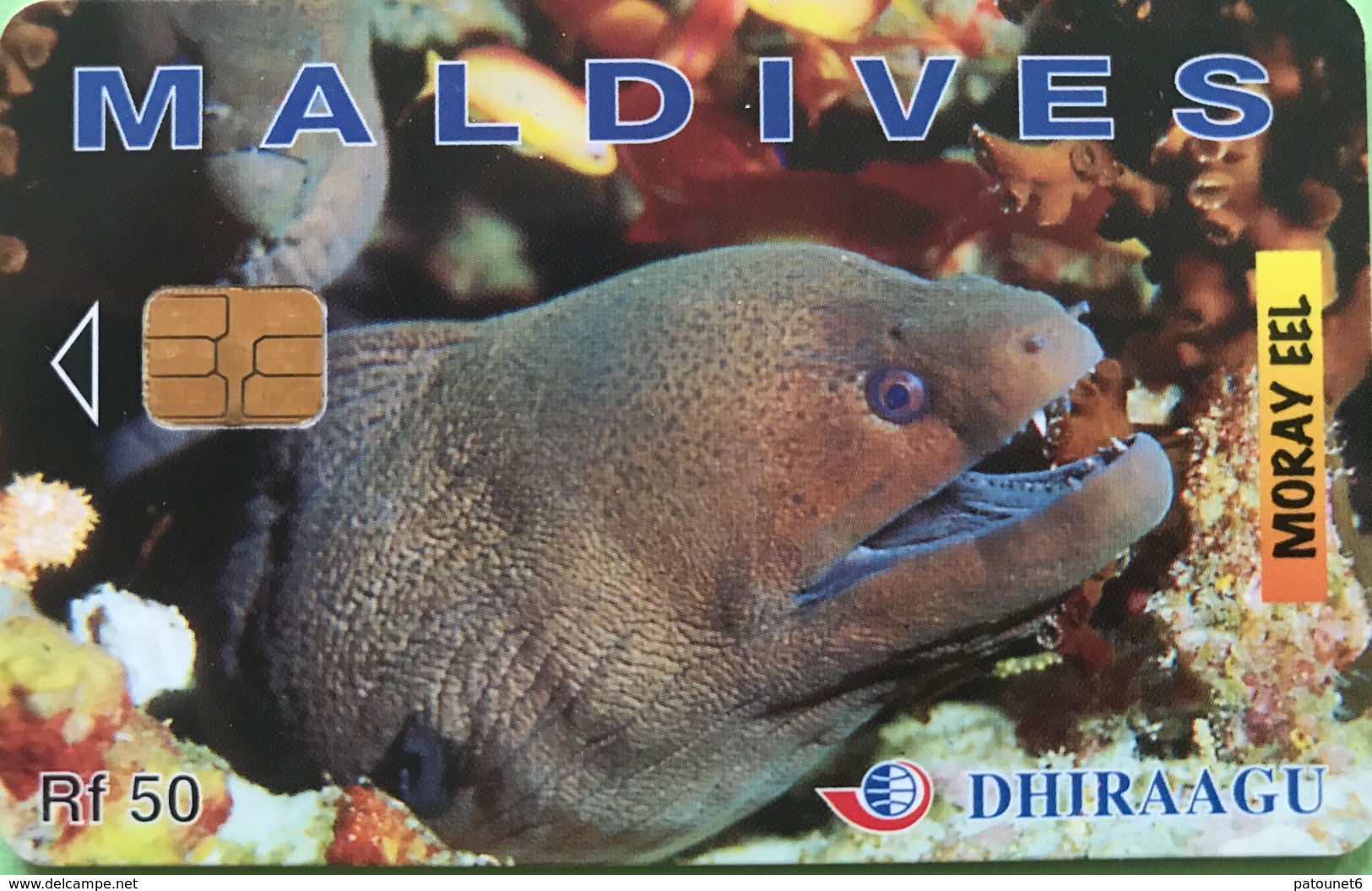MALDIVES  -  Phonecard  -  DHIRAAGU  -  Murène - Moray  -  Rf 50 - Maldives