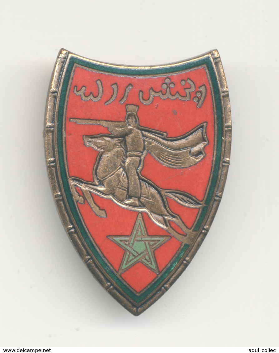 INSIGNE 22° RSM : 22° Régiment De Spahis Marocains Drago Paris G. 452 Restauration à L'arriére Voir Scan - Armée De Terre