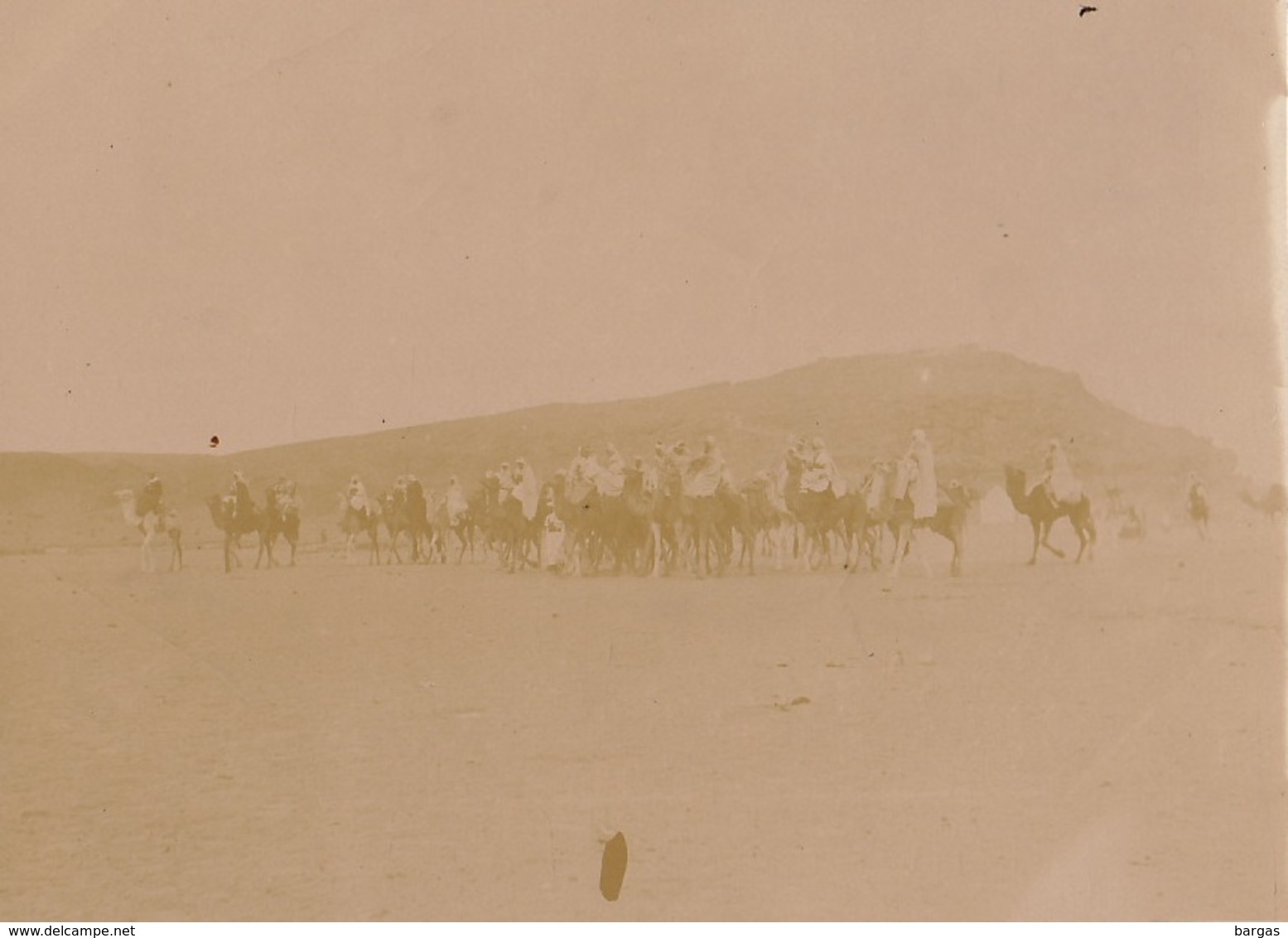 1903 Militaire Méharis Et Méharistes Mehari Méhariste Dromadaire Chameau Algérie - Oorlog, Militair