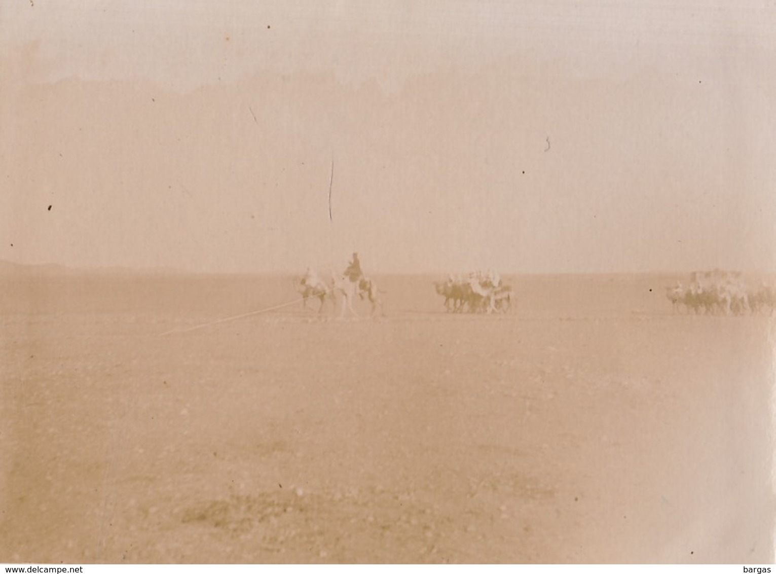 1903 Militaire Méharis Et Méharistes Mehari Méhariste Dromadaire Chameau Algérie - Oorlog, Militair