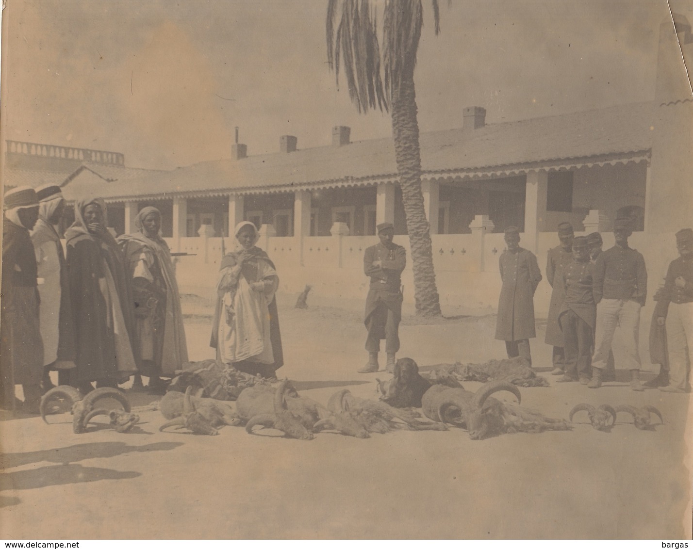 1903 Grande Photo Tableau De Chasse Militaire Aïn Sefra Algérie - Oorlog, Militair