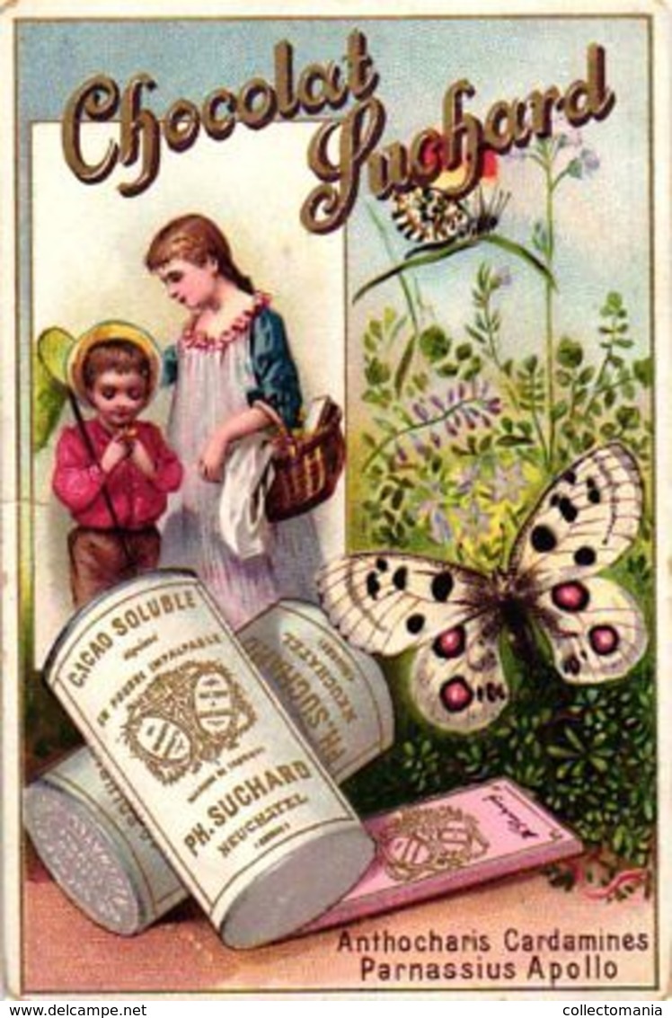 6 chromo litho cards chocolate SUCHARD set 50  c1896 Butterflies pappilion & Moths -- fabrique Suisse Switserland VG
