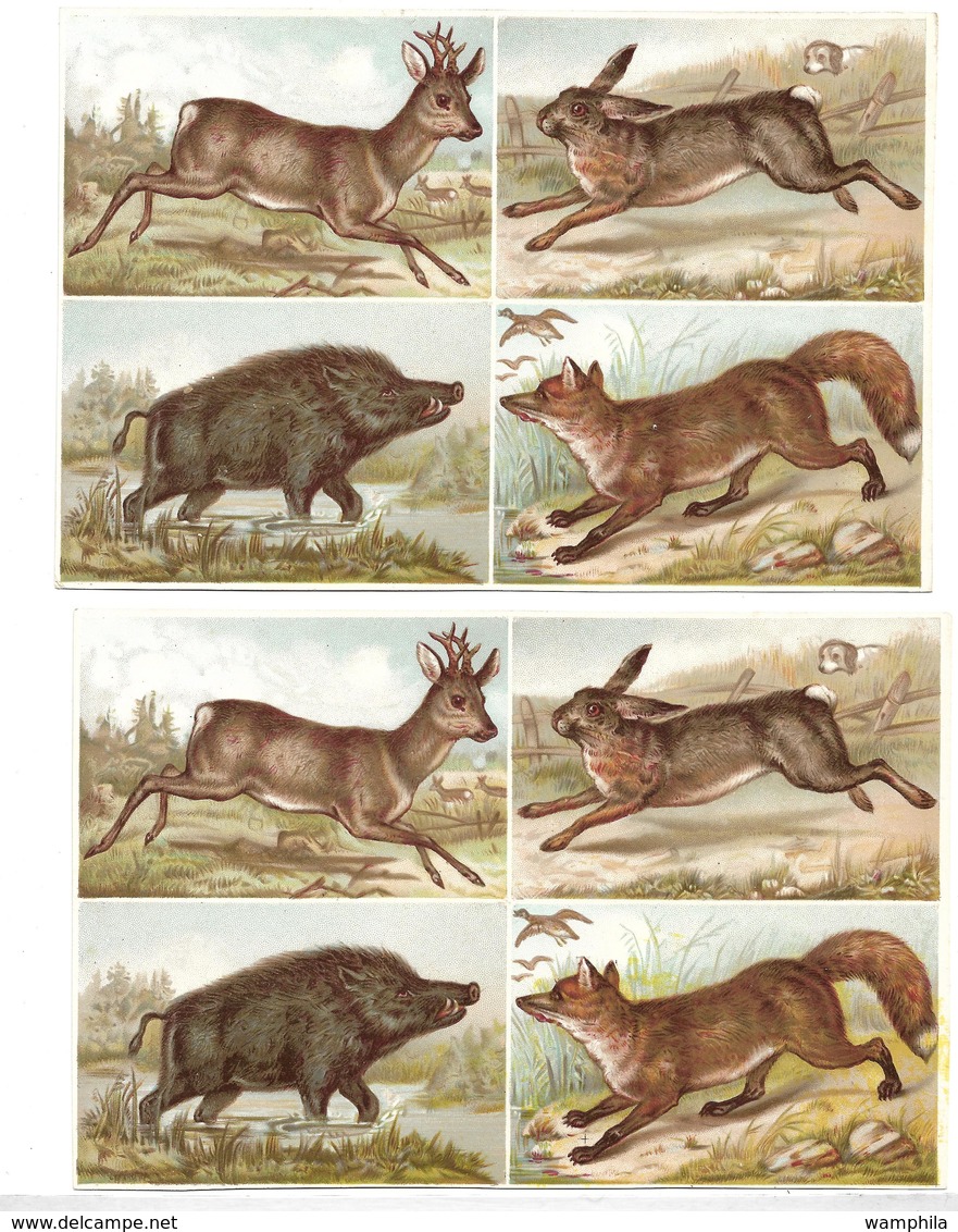 Un Lot De 5 Images Chromos Sur Le Thême Des Animaux Et La Chasse - Albums & Catalogues