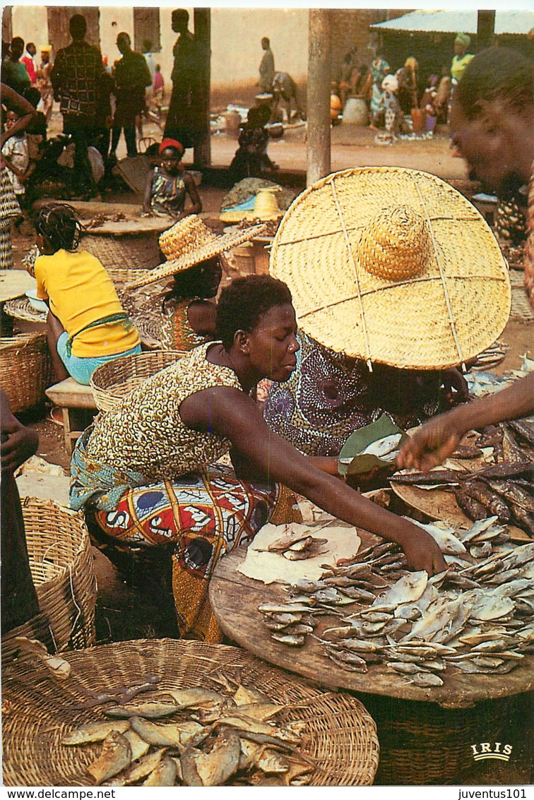 CPSM Afrique En Couleurs-Marchande De Poissons     L3009 - Non Classés