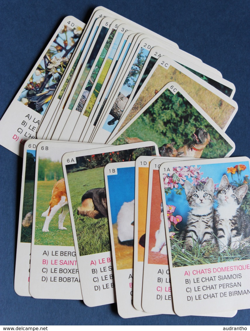 Jeu De Cartes 7 Familles Vintage Années 70 Les Animaux N°2 Hemma Schmid - Andere & Zonder Classificatie