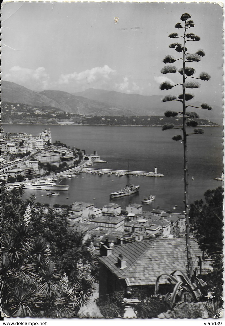 Monaco - Monte Carlo : Vue Sur Le Port - Porto