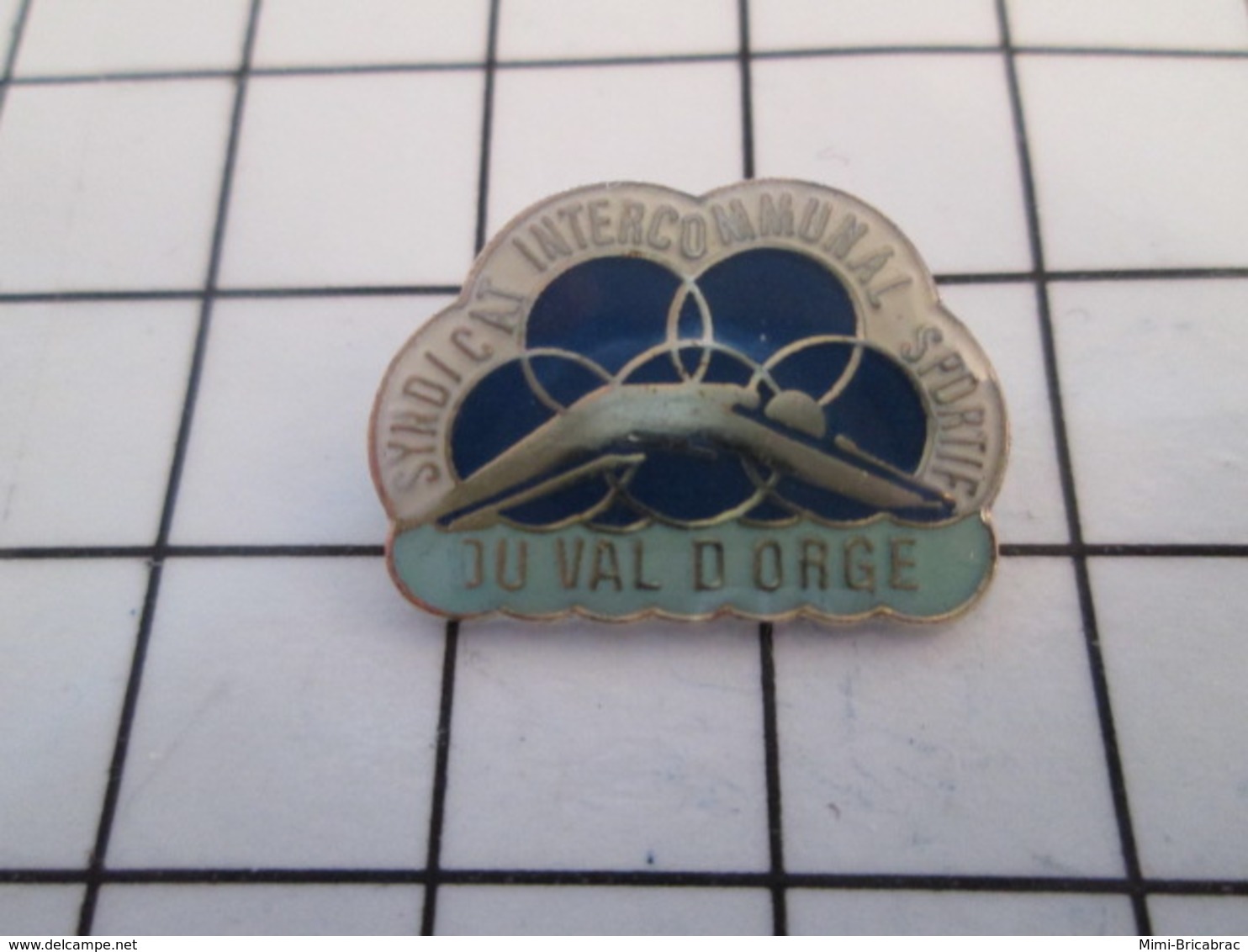 816a Pin's Pins / Beau Et Rare / THEME : SPORTS / SYNDICAT INTERCOMMUNAL DU VAL D'ORGE PISCINE ANNEAUX OLYMPIQUES - Natation