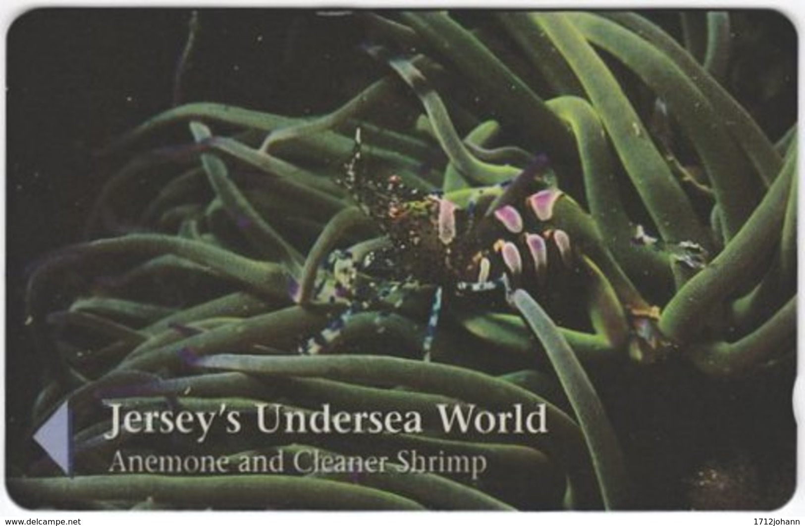 JERSEY A-440 Magnetic Telecom - Animal, Sea Life, Coral, Shrimp - 49JERD - Used - [ 7] Jersey Und Guernsey