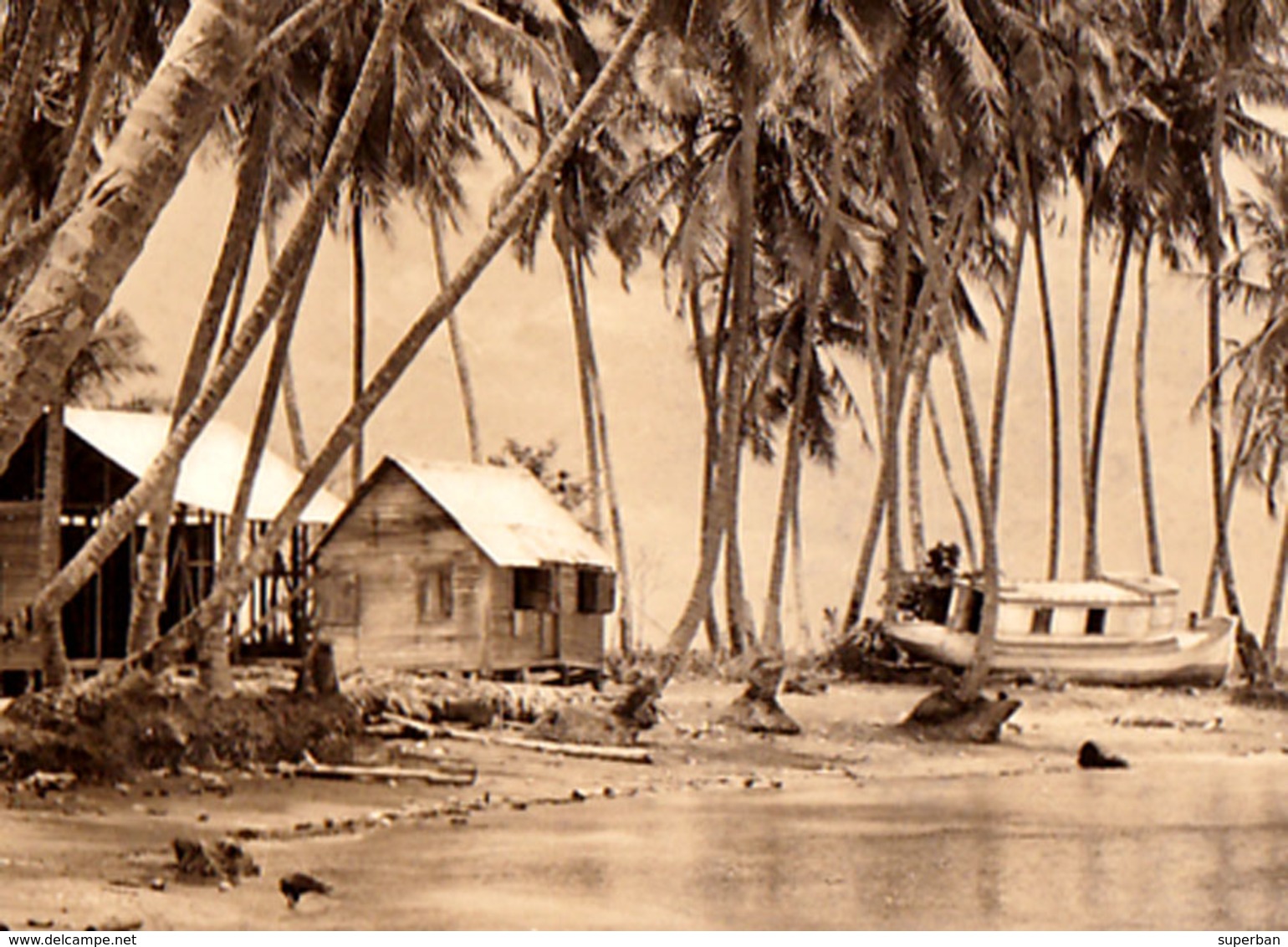 COSTA RICA : BEACH NEAR PORT LIMON - CARTE VRAIE PHOTO / REAL PHOTO POSTCARD ~ 1930 - '940 (ae428) - Costa Rica