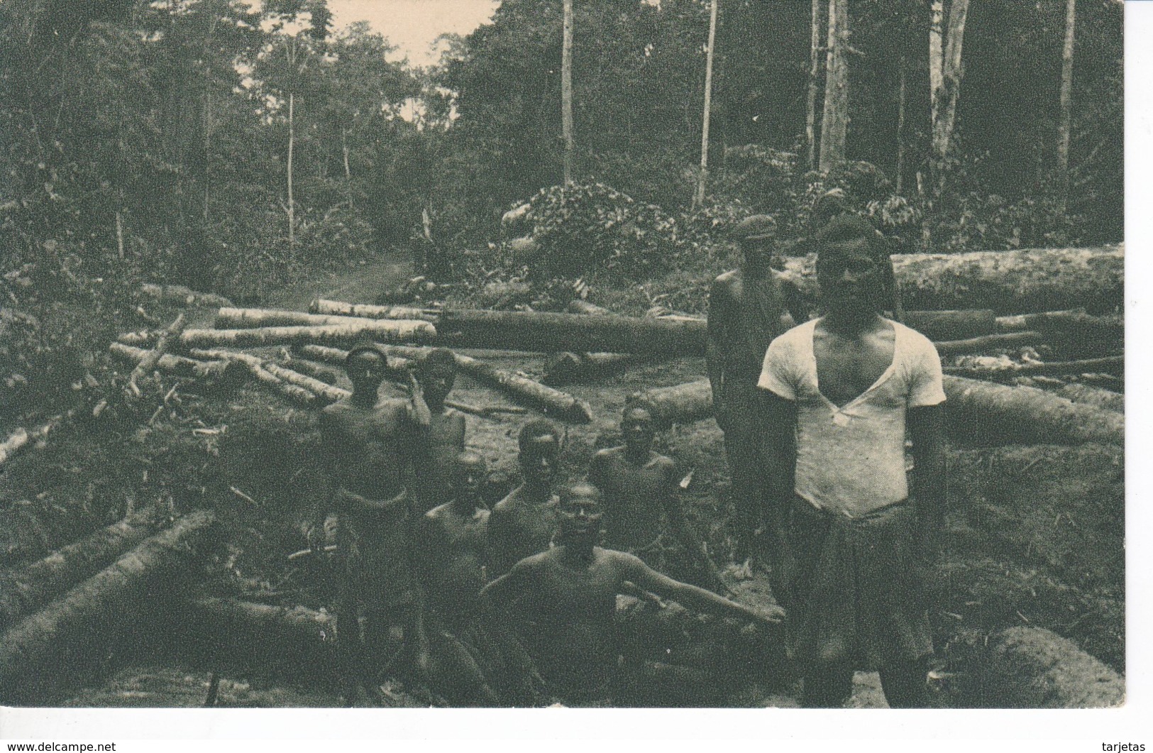 POSTAL DE GUINEA ESPAÑOLA DE UN DESBOSQUE DE LA AGRICOLA DE BATA (EXPO IBERO-AMERICANA SEVILLA 1929) - Equatorial Guinea