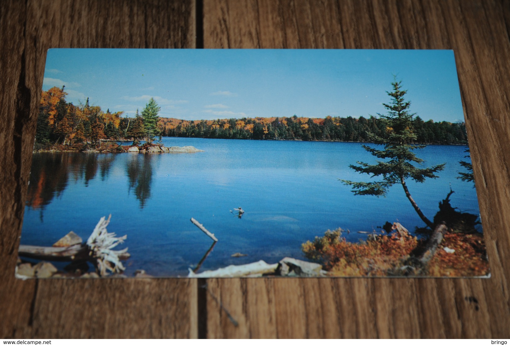 3655-      CANADA, ONTARIO, CALLANDER - Muskoka