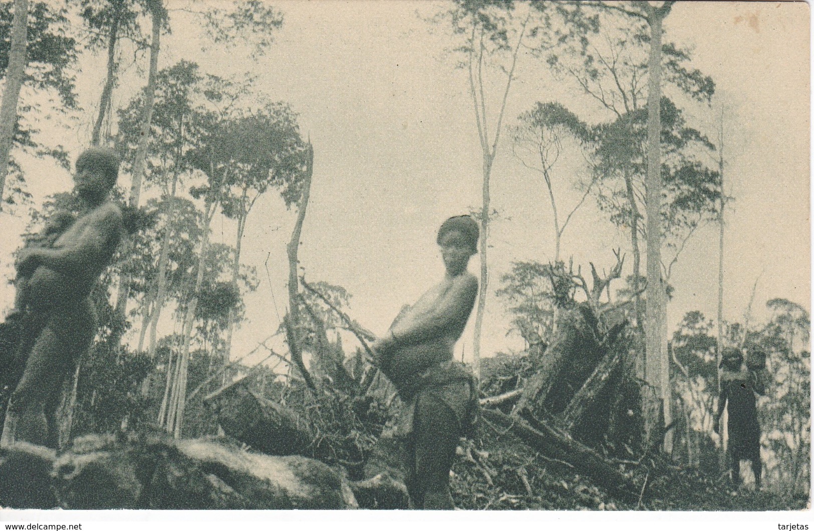 POSTAL DE GUINEA ESPAÑOLA DE MUJERES INDIGENAS EN UN DESBOSQUE A 50 Km DE BATA (EXPO IBERO-AMERICANA SEVILLA 1929) - Guinée Equatoriale