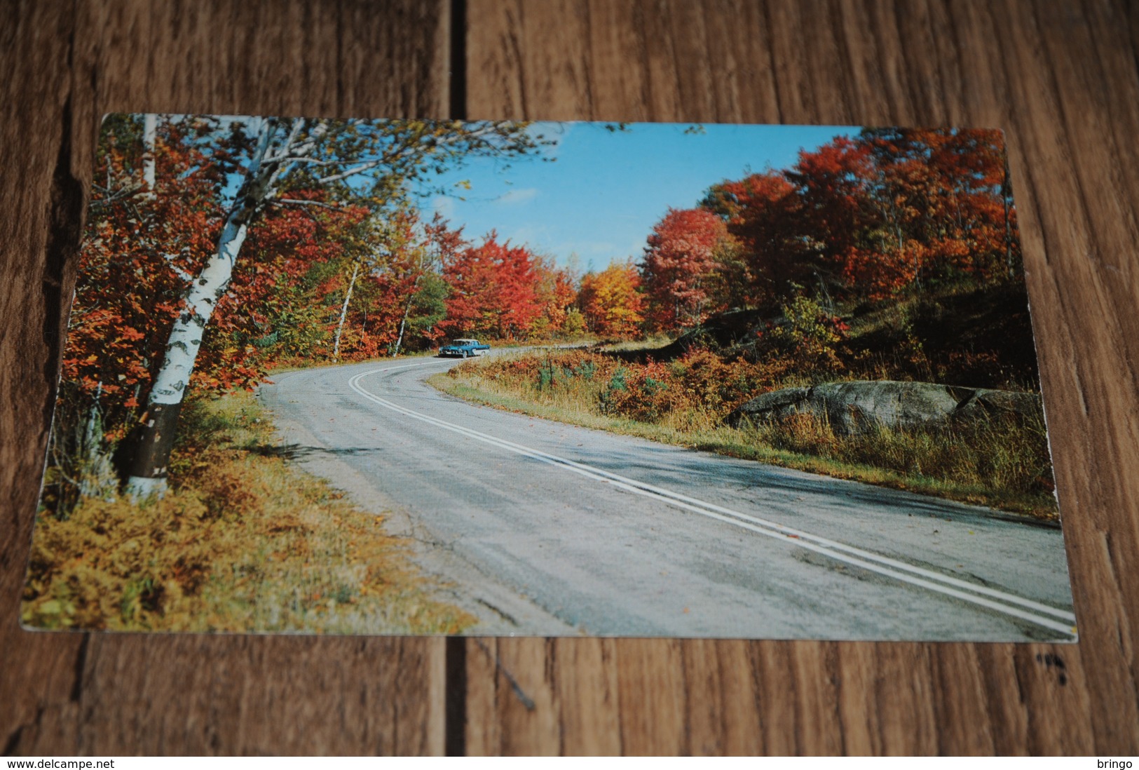 3656-      CANADA, ONTARIO, NMUSKOKA, BRACEBRIDGE - Muskoka