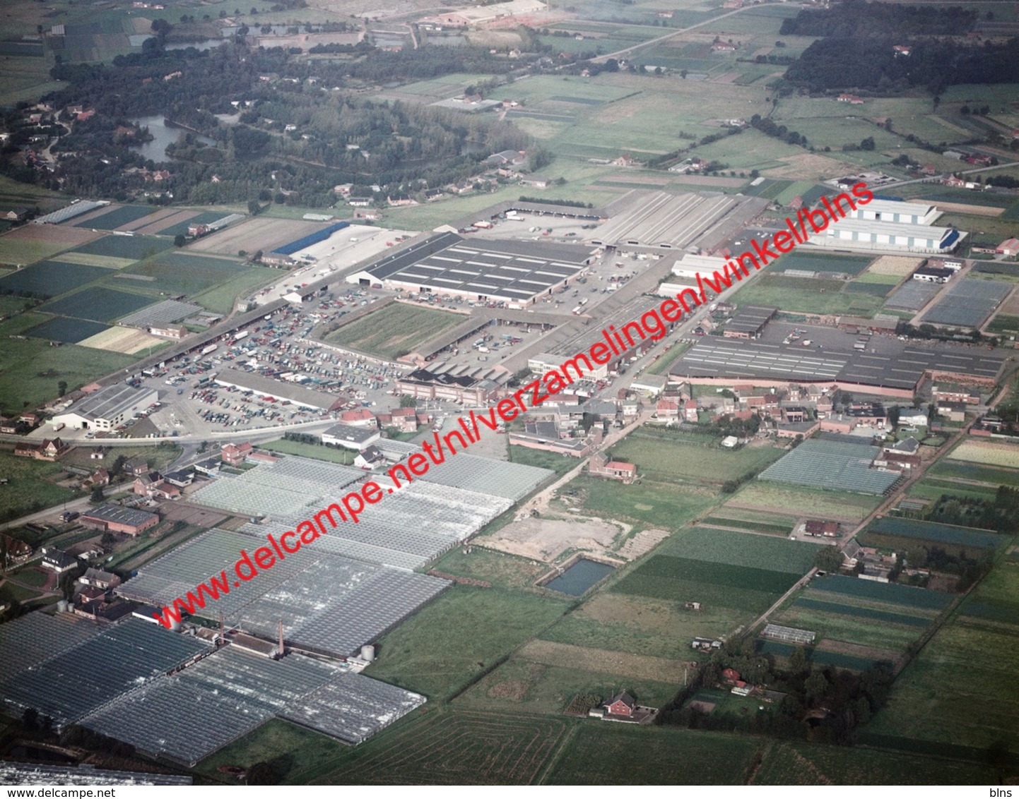 Mechelen - Tuinbouwveiling In Oktober 1977 - Photo 15x23cm - Luchtfoto - Lieux