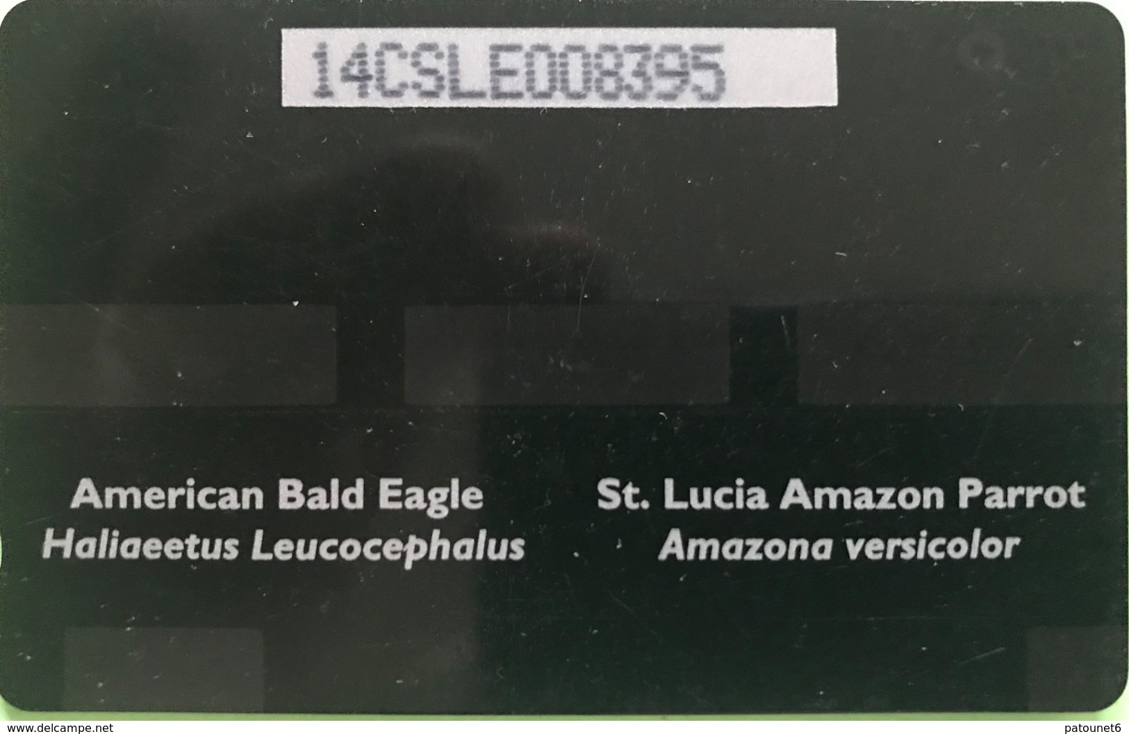 SAINTE LUCIE  -  Phonecard  - Cable & Wireless   -  Eagle And Amazon  -  EC $ 53  -  US $ 20 - St. Lucia
