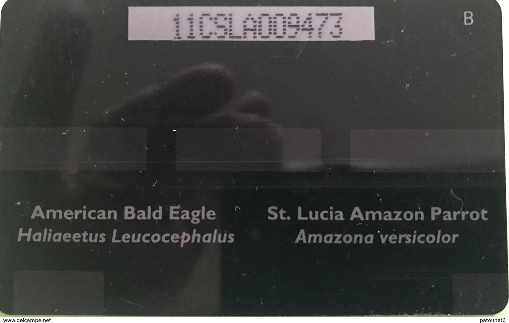 SAINTE LUCIE  -  Phonecard  - Cable & Wireless   -  Eagle And Amazon  -  EC $ 53  -  US $ 20 - Saint Lucia