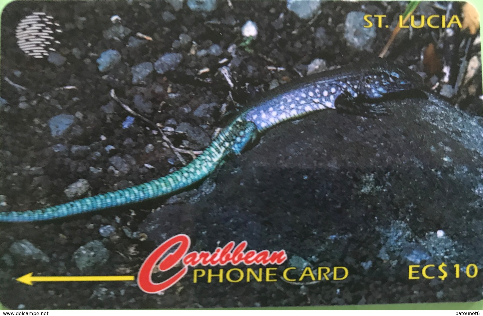 SAINTE LUCIE  -  Phonecard  - Cable & Wireless   - St Lucia Lizard -  EC $ 10 - Sainte Lucie