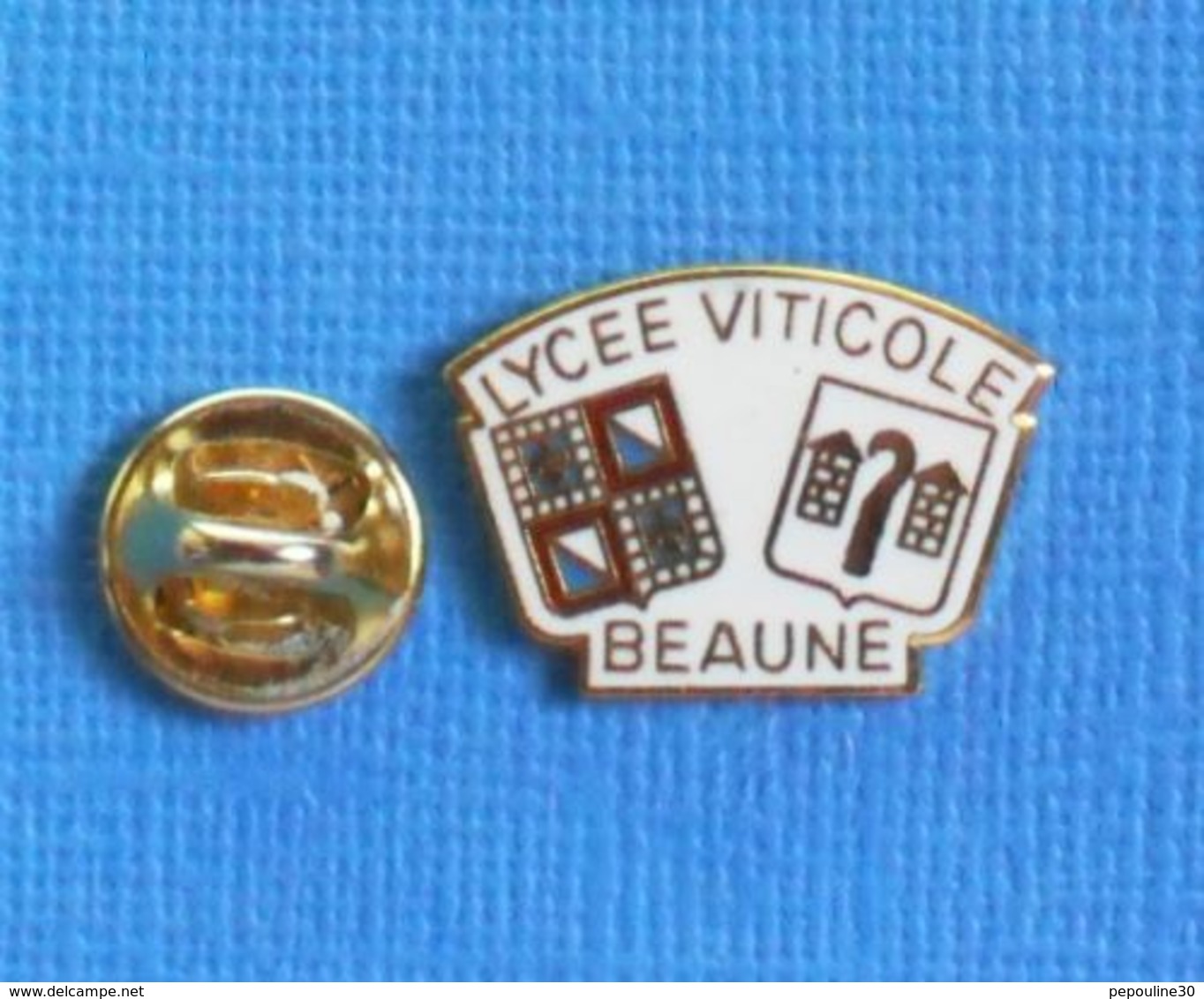 1 PIN'S //  ** LYCÉE VITICOLE / BEAUNE / BOURGOGNE-FRANCHE-COMTÉ ** - Boissons