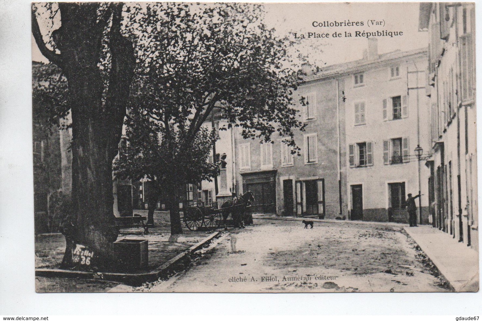 COLLOBRIERES (83) - LA PLACE DE LA REPUBLIQUE - Collobrieres