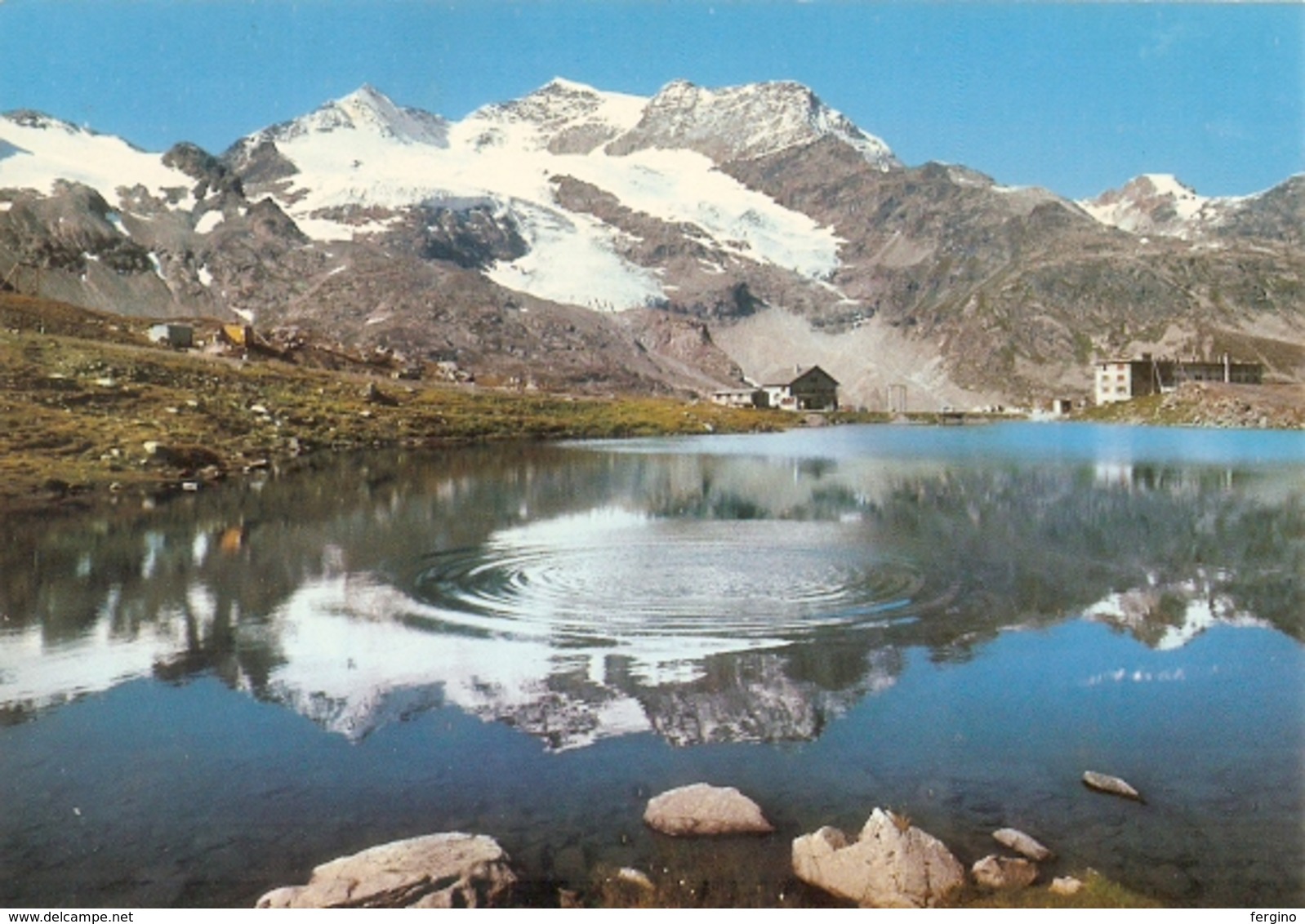 1823/A/FG/20 - OSPIZIO DEL BERNINA - LAGO DELLA CROCETTA (SVIZERA) - Berna