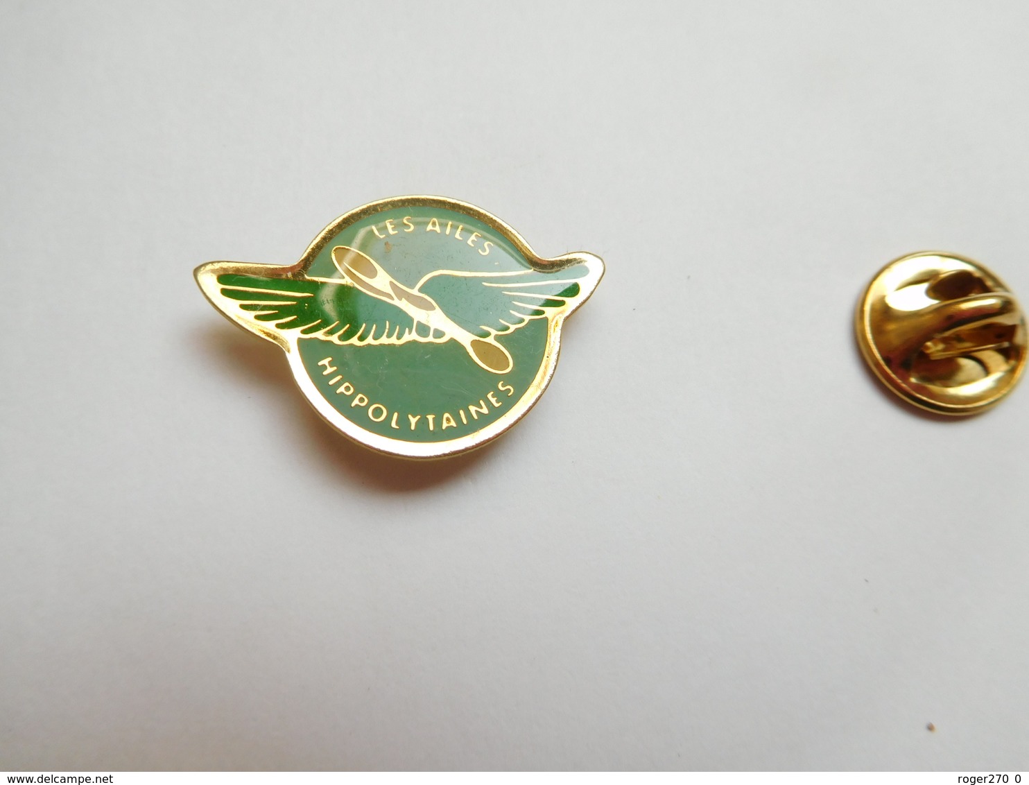 Beau Pin's , Aviation , Avion , Association Les Ailes Hippolytaines , Saint Hippolyte , Planeur , ULM , Indre Et Loire - Aerei