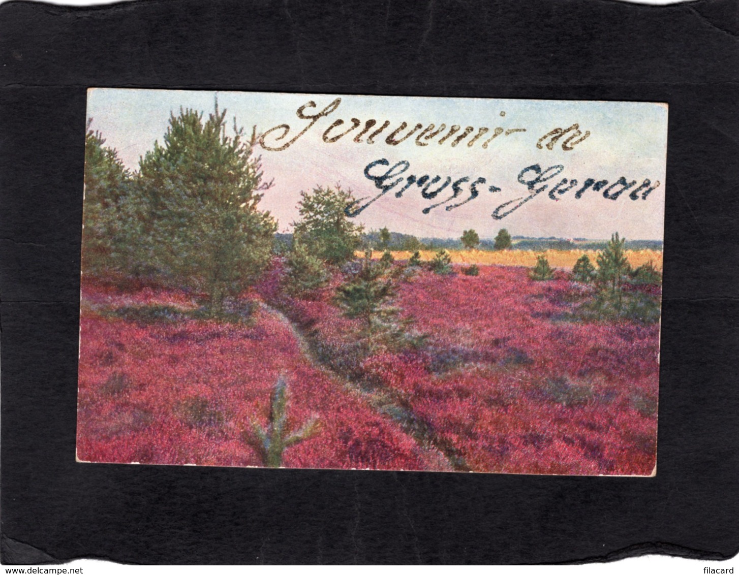 92787    Germania,   Souvenir De Gross-Gerau,  NV - Gross-Gerau