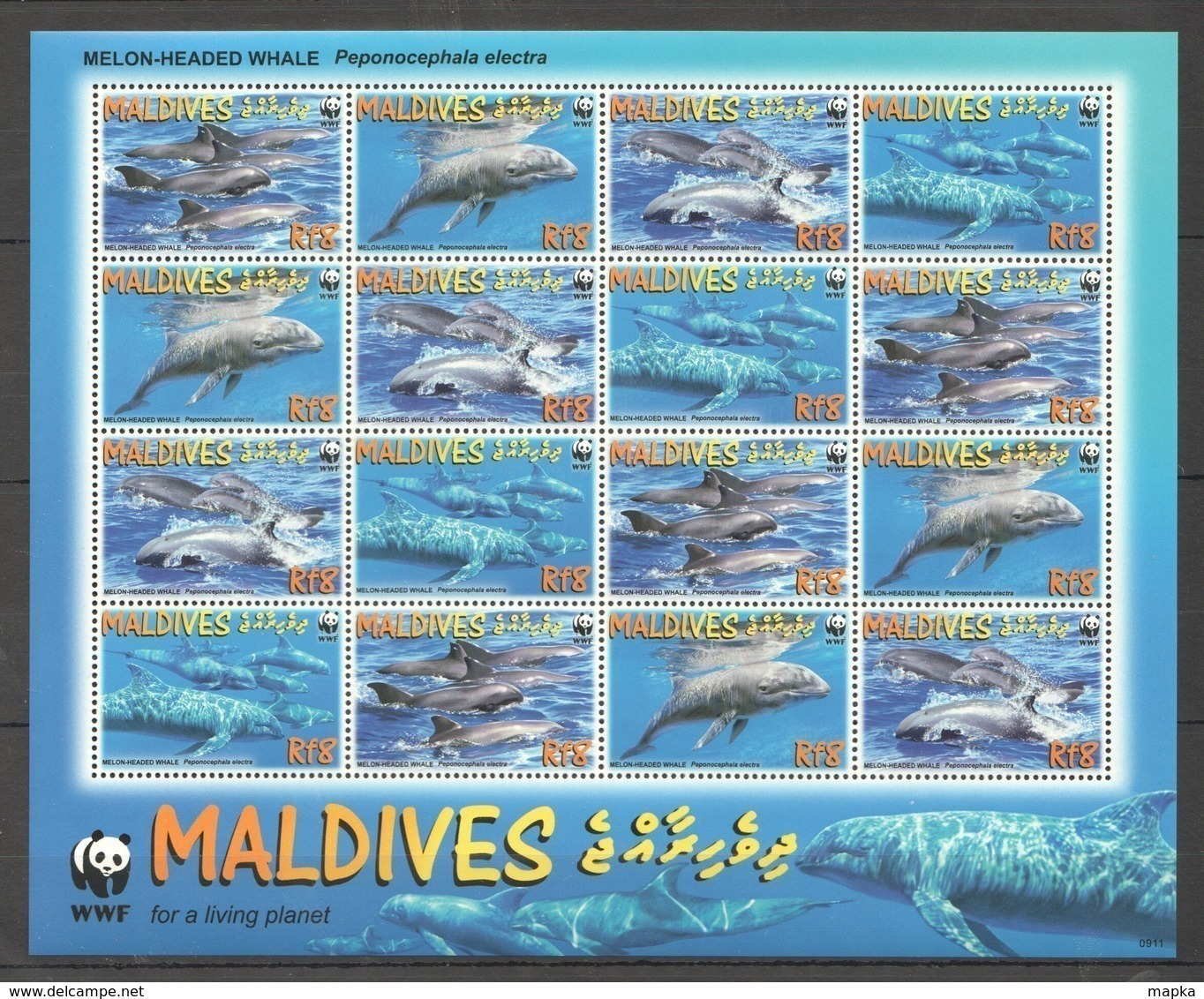 PK437 2009 MALDIVES WWF FISH & MARINE LIFE MELON-HEADED WHALE 1SH MNH - Sonstige & Ohne Zuordnung