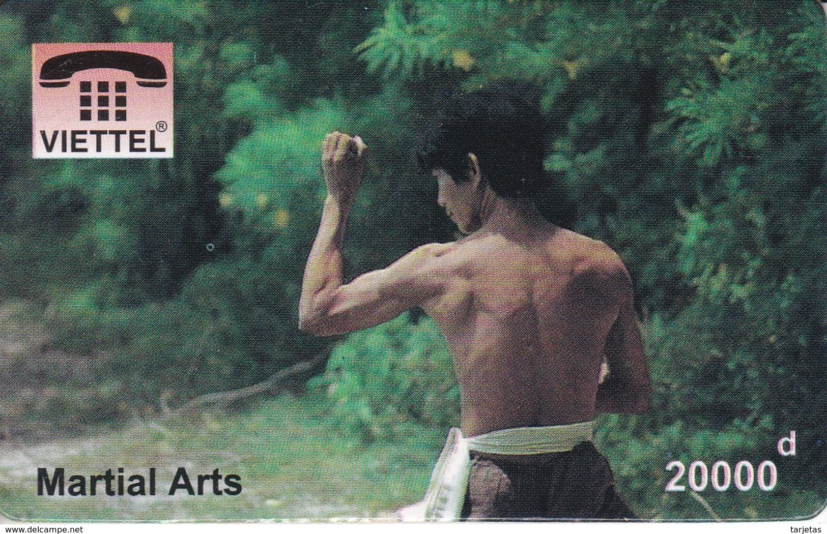 TARJETA DE VIETNAM DE MARTIAL ARTS (VIETTEL) ARTES MARCIALES - Viêt-Nam