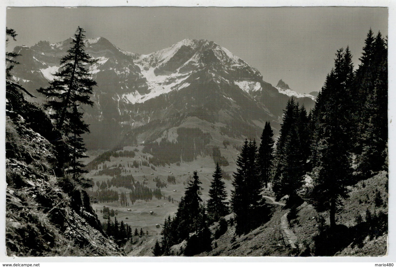 C.P.  PICCOLA     ADELBODEN   HORNLIWEG  MIT  GROSSLOHNER  UND  TSCHINGELOCHTIGHORN      2 SCAN  (NUOVA) - Adelboden