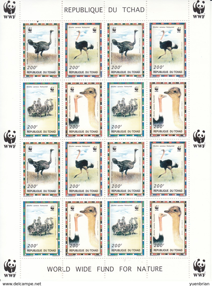 Chad, 1996, WWF, Ostriches, Ostrich, Sheetlet Of 4x Sets, MNH** - Struzzi